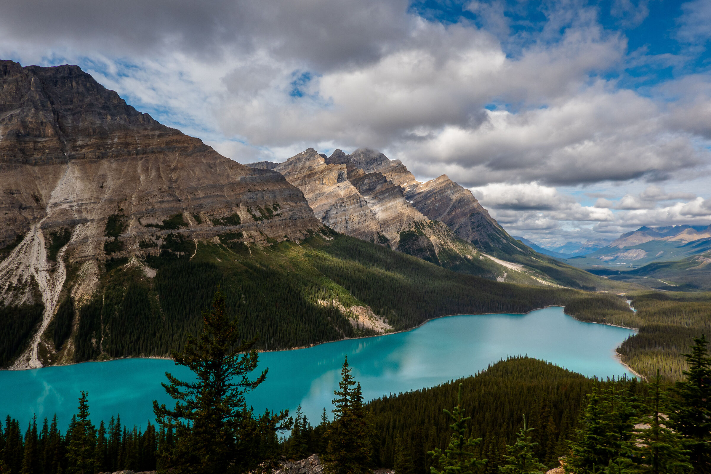 Classic but gorgeous