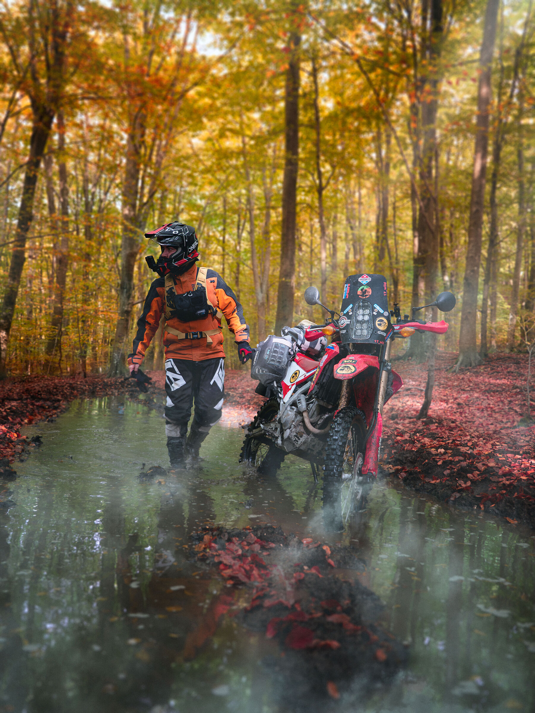 Attraverso L'Autunno