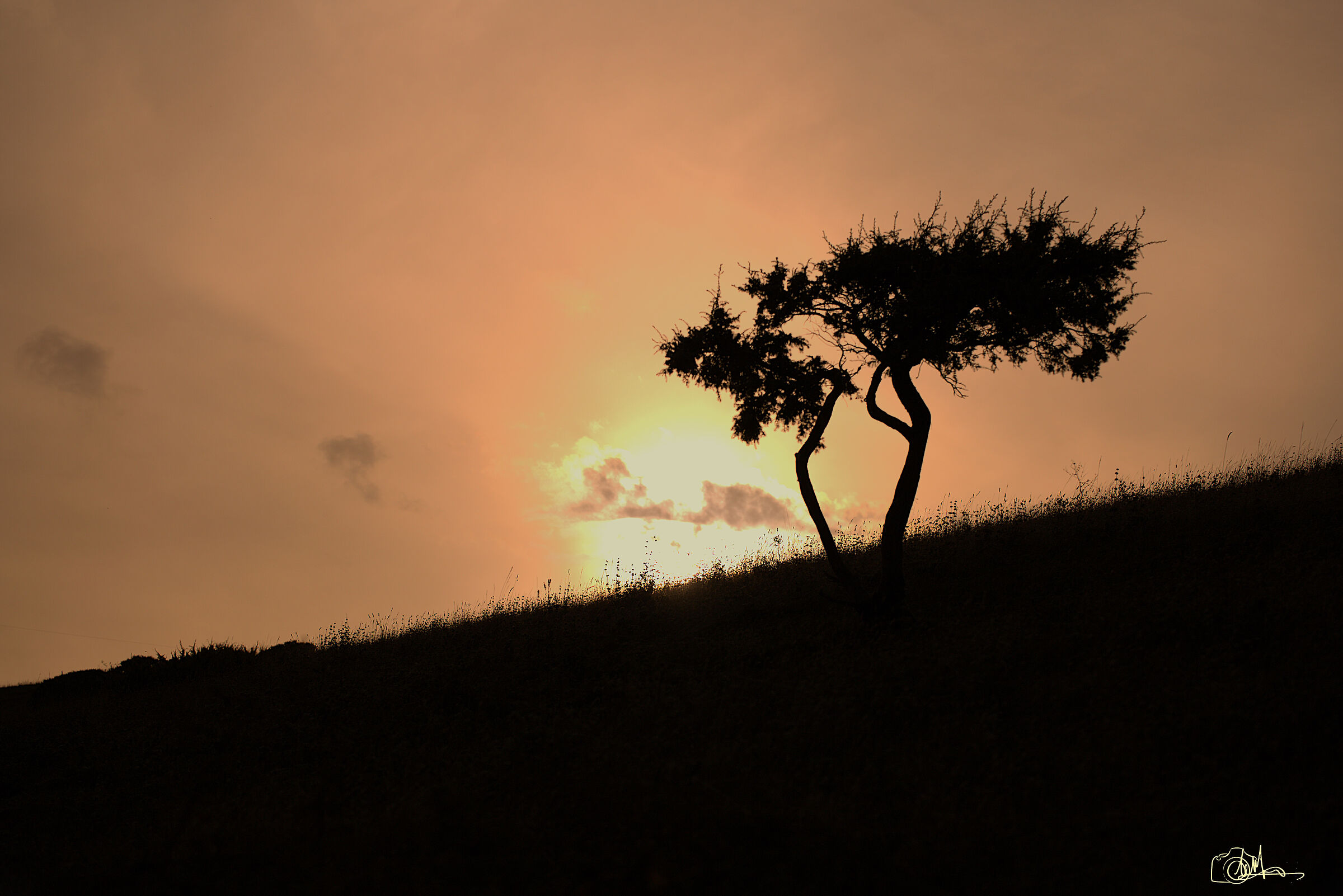Untitled Photo