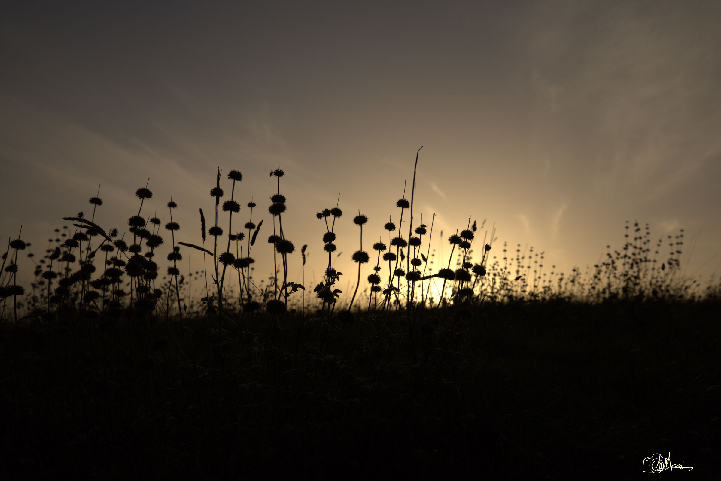 Silhouettes