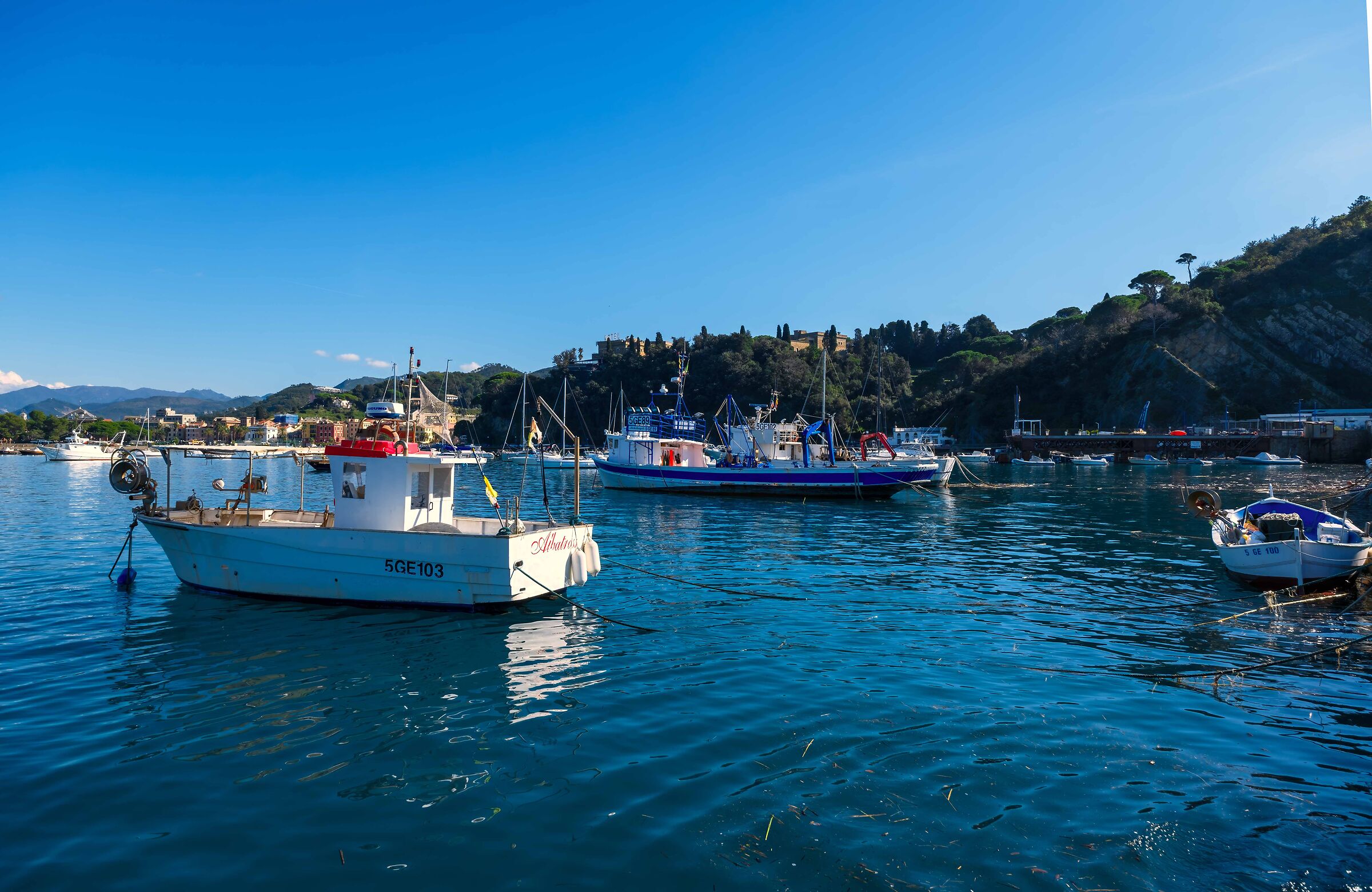 Barche, barchette e barchini