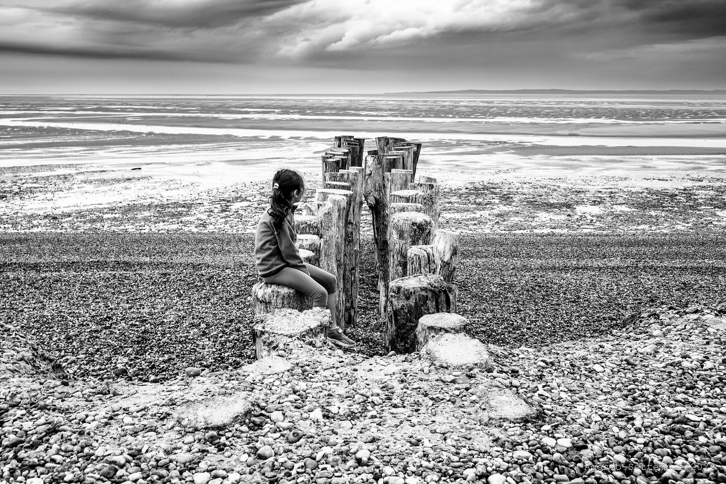Bay of the Somme 2 - Little Girl Seeking (Seals)
