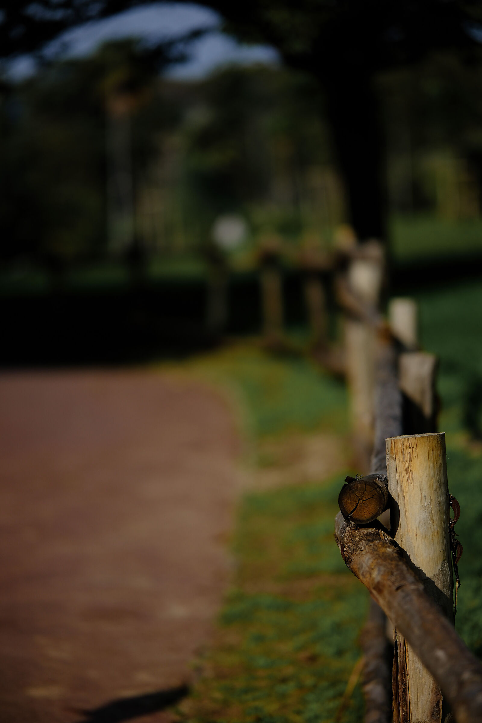 to focus on the future... Keep Walking