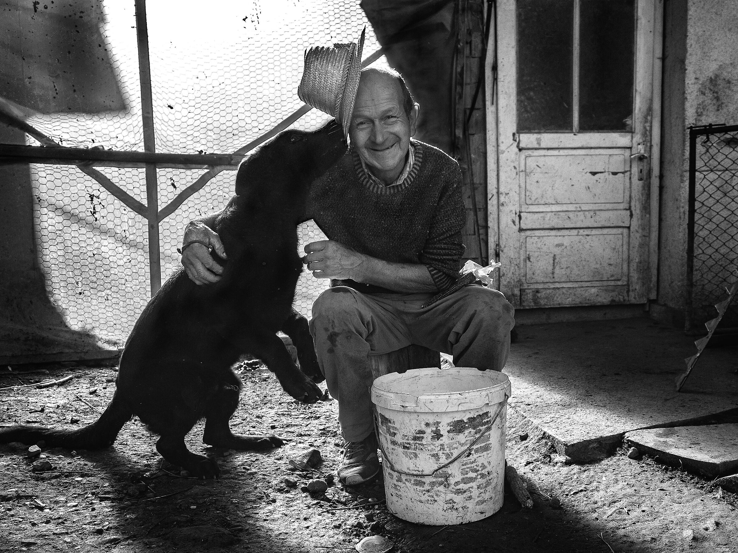 Armonia tra Uomo e Animali