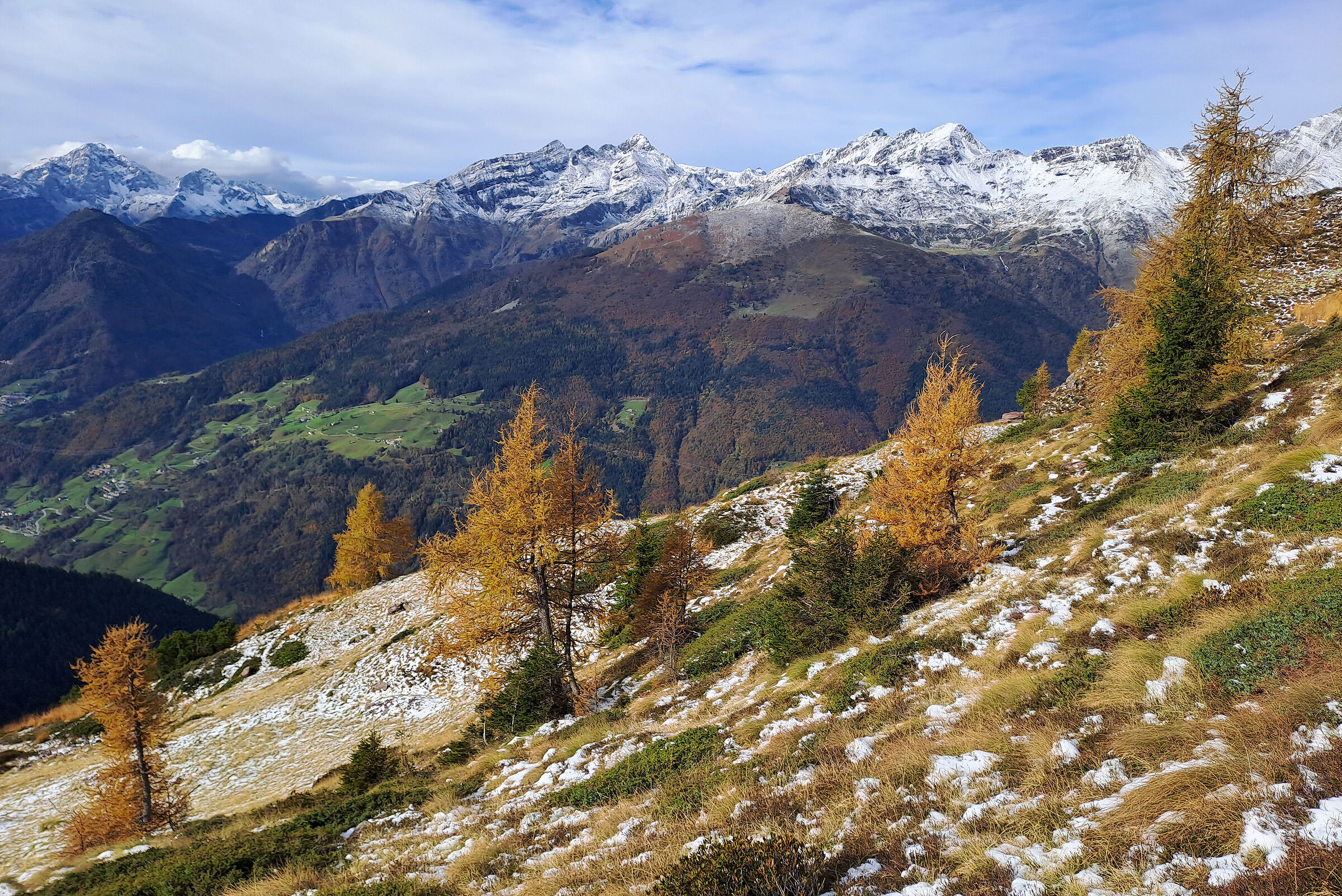 Colors on the mountain..
