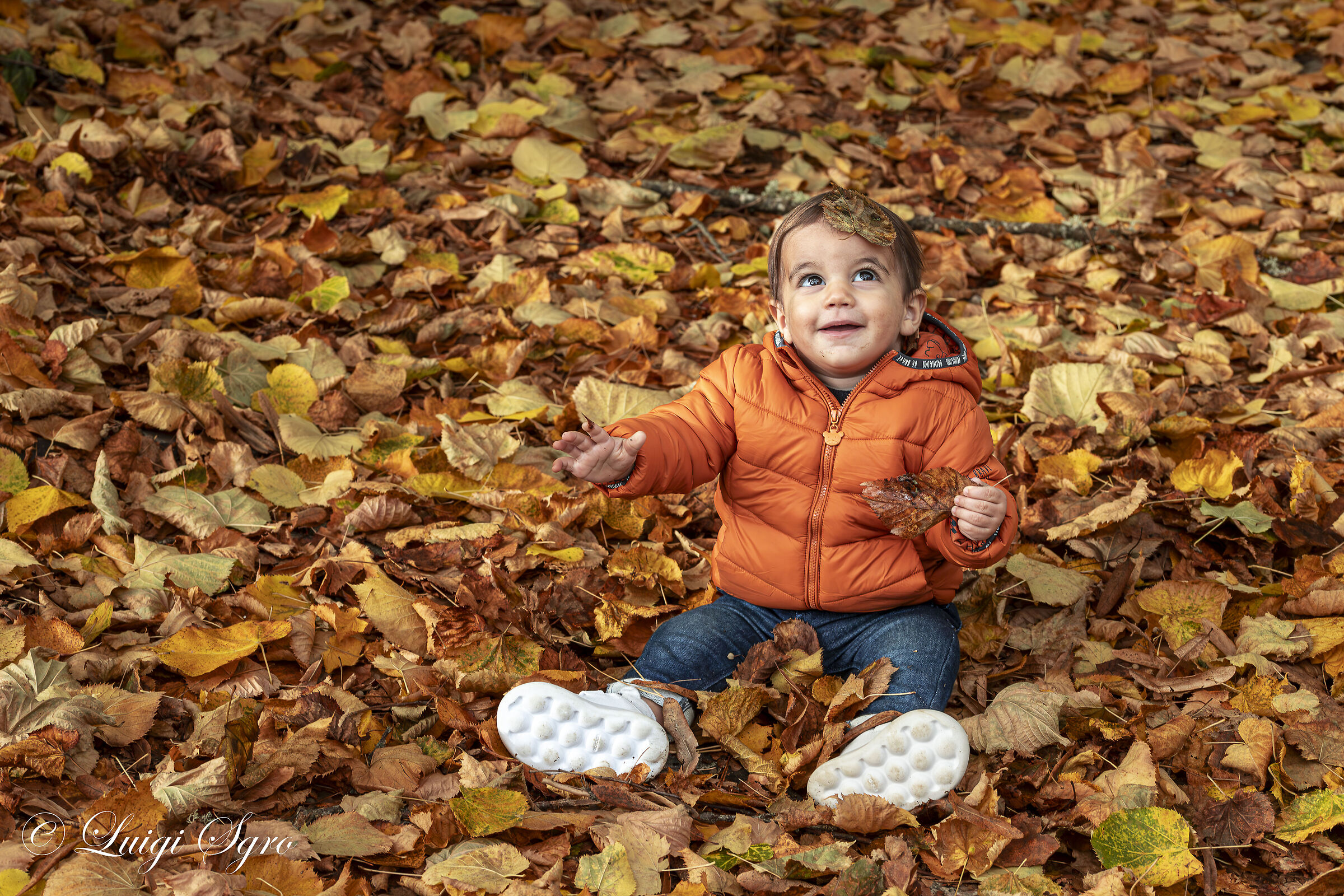 Foliage of happiness