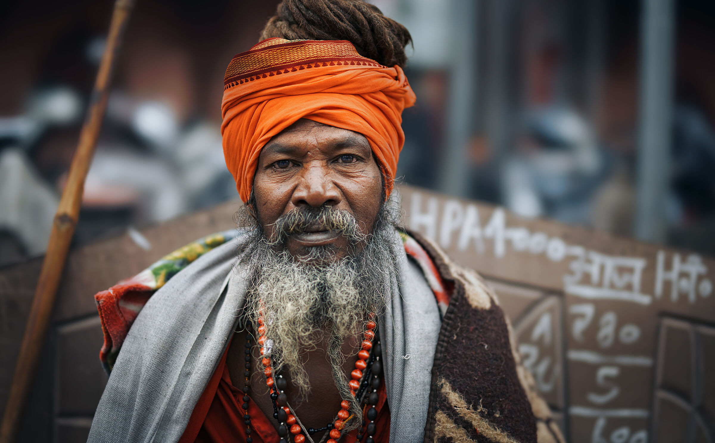 The Rebel - Rasta 0179