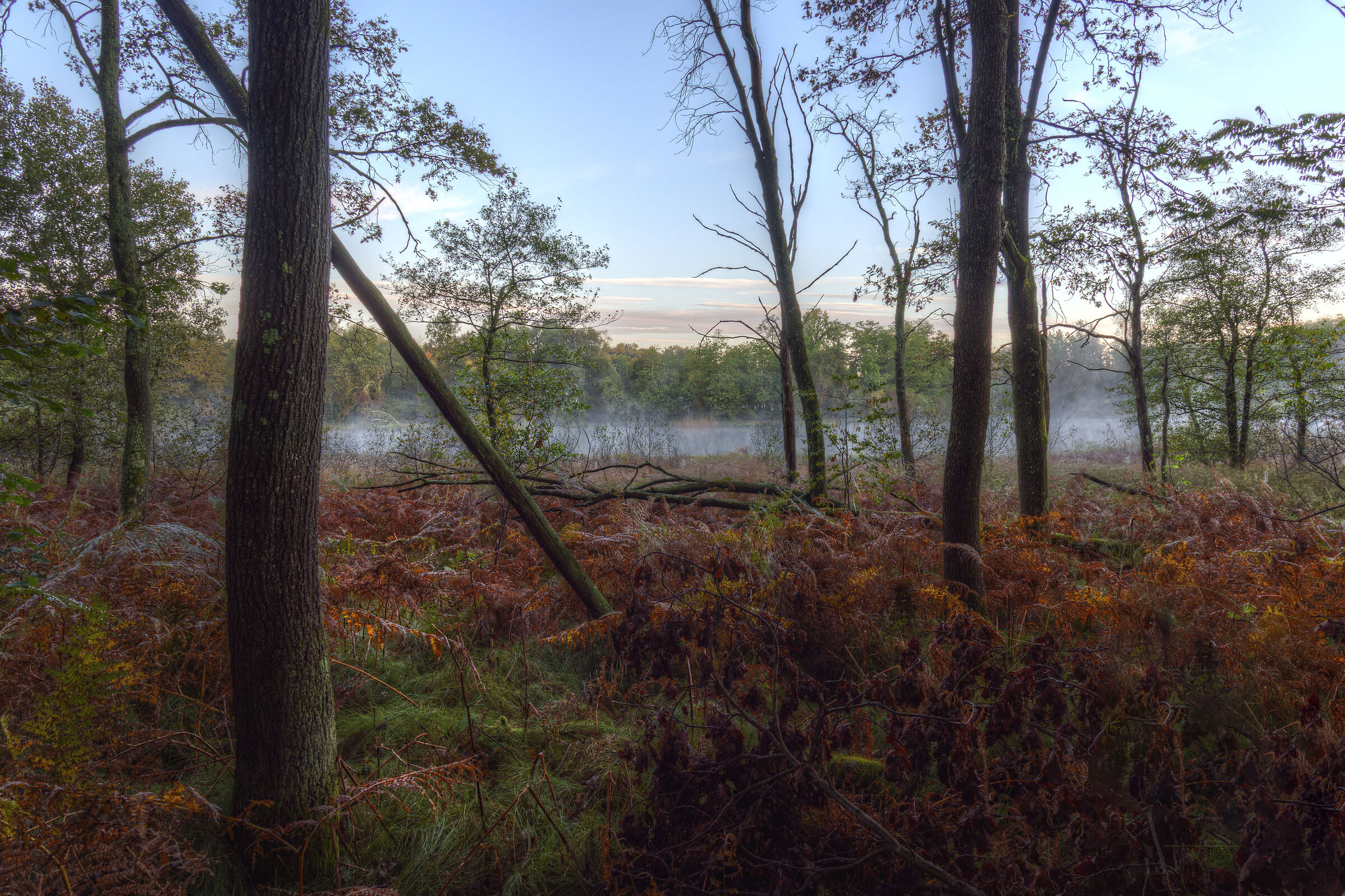 Alba ai lagoni di Mercurago