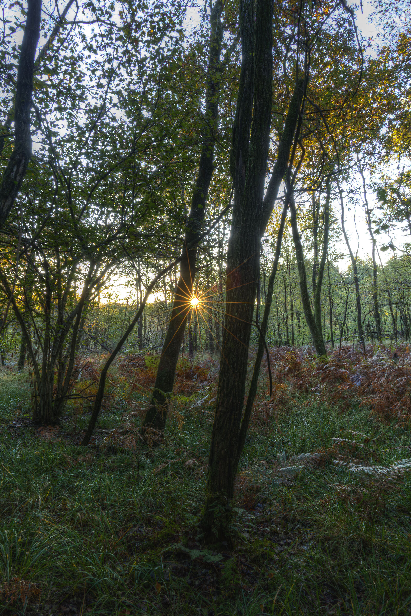 Sunrise at the Mercurago lakes