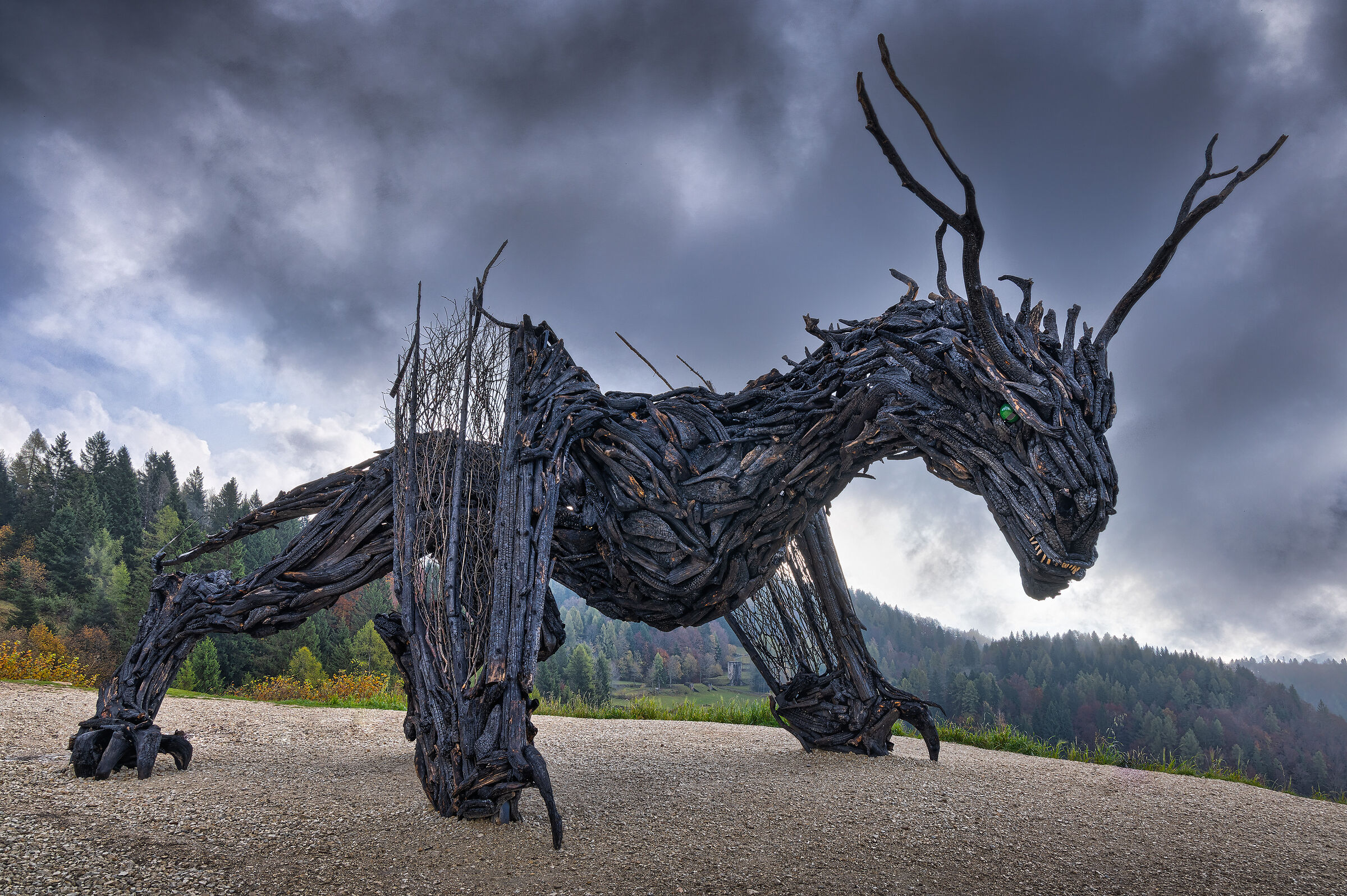 Drago Vaia Regeneration