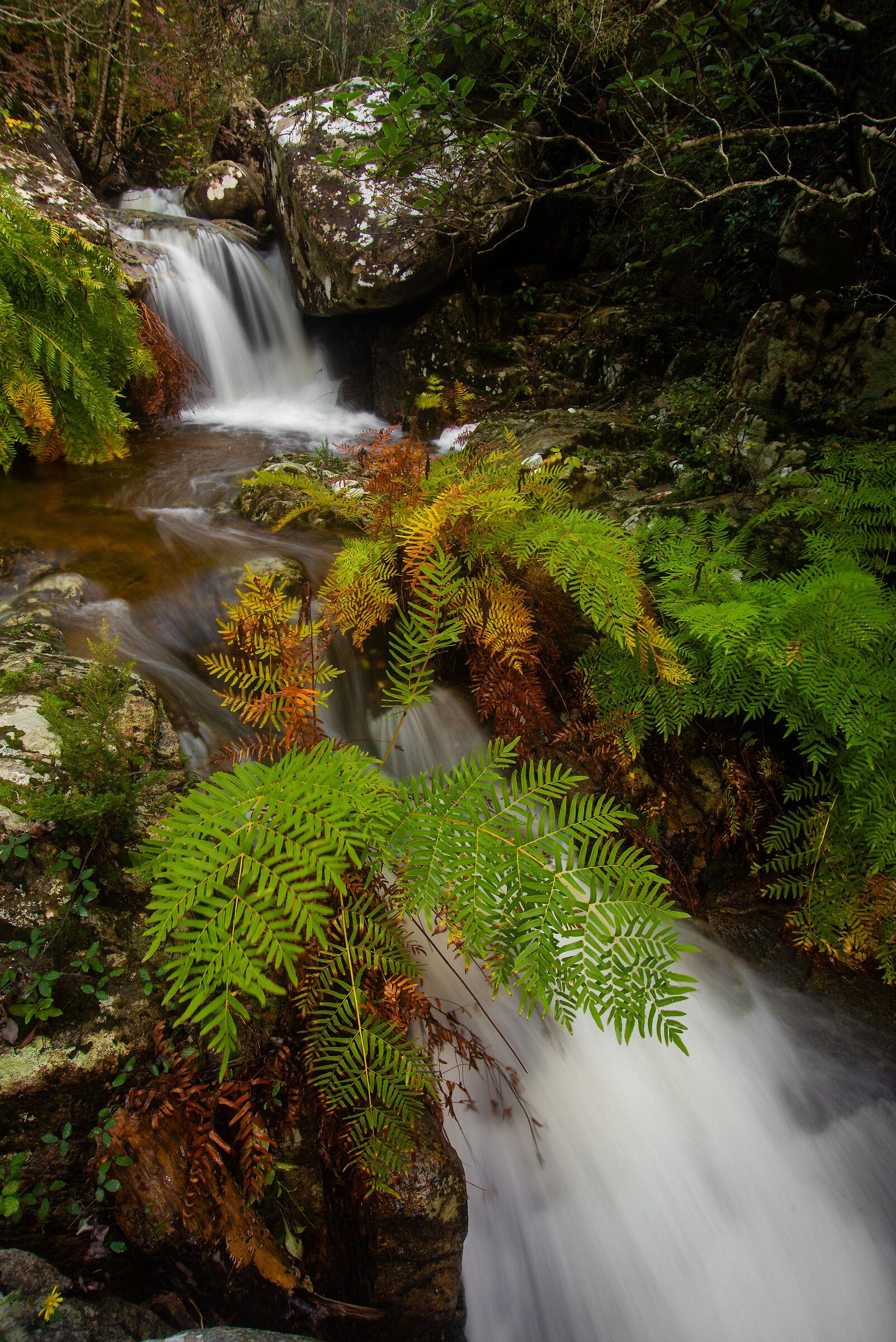 Finalmente è piovuto