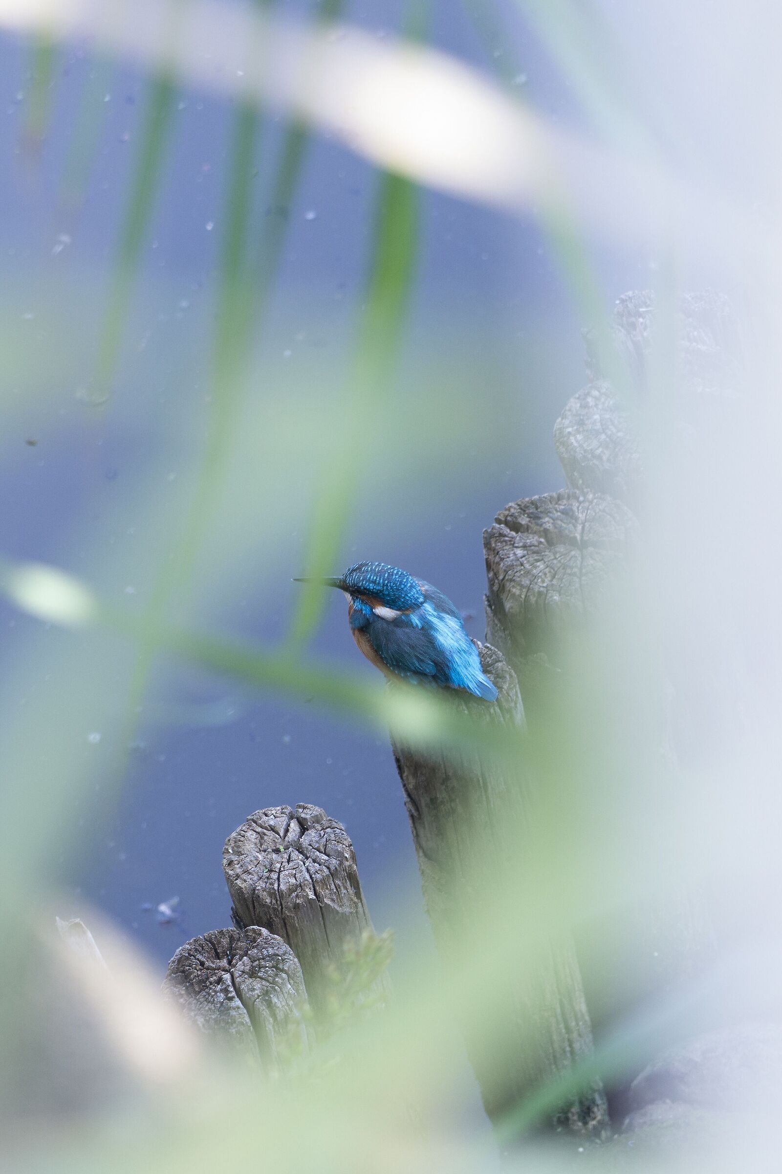 Il primo della stagione.....