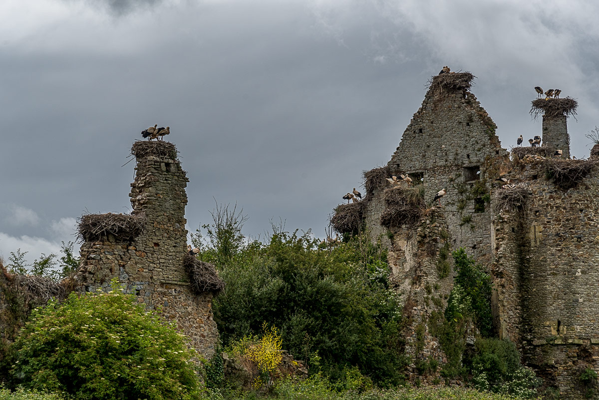 Castle of the Riviere (or of the Storks)