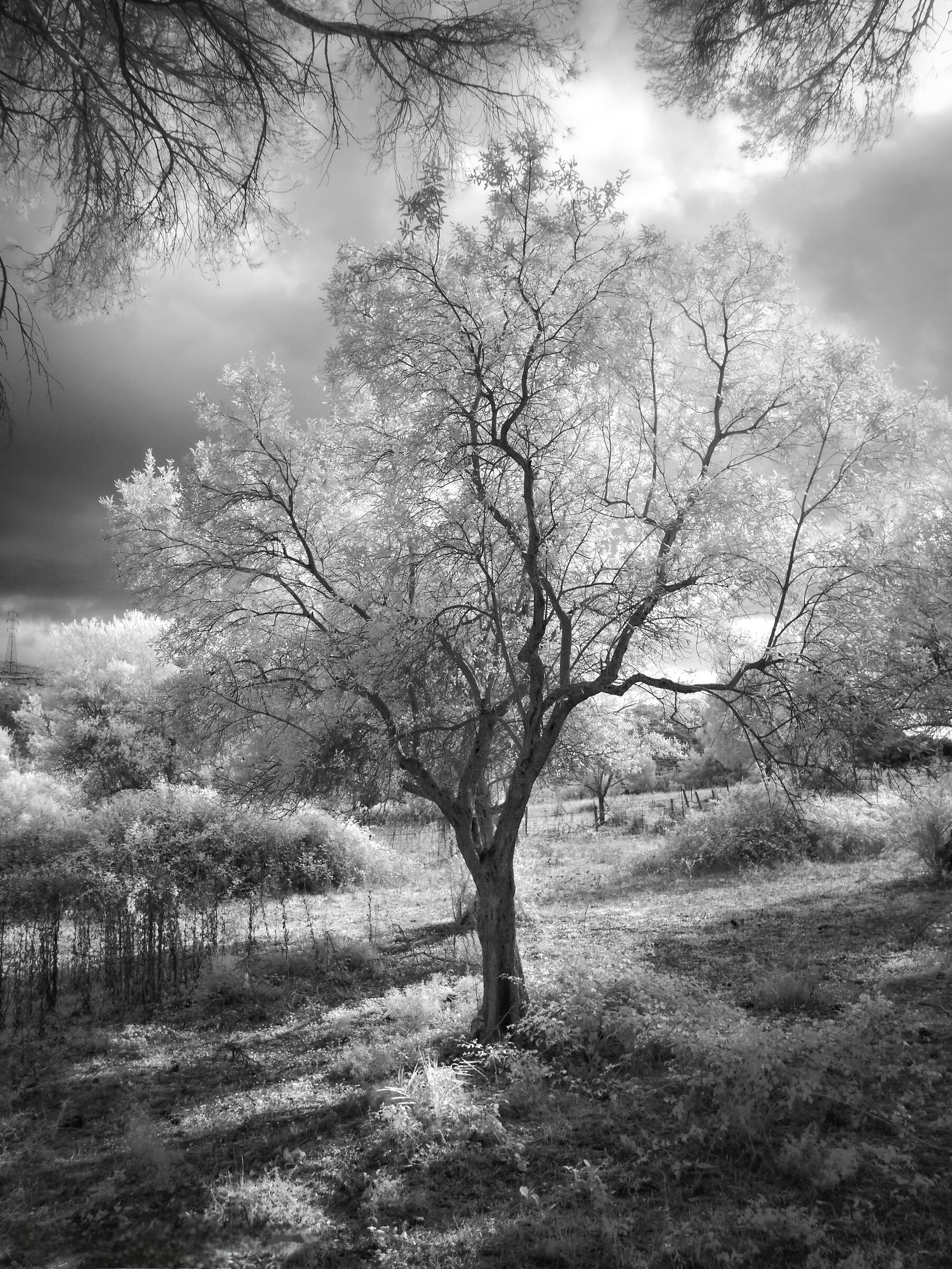 Change the leaves, never the roots.