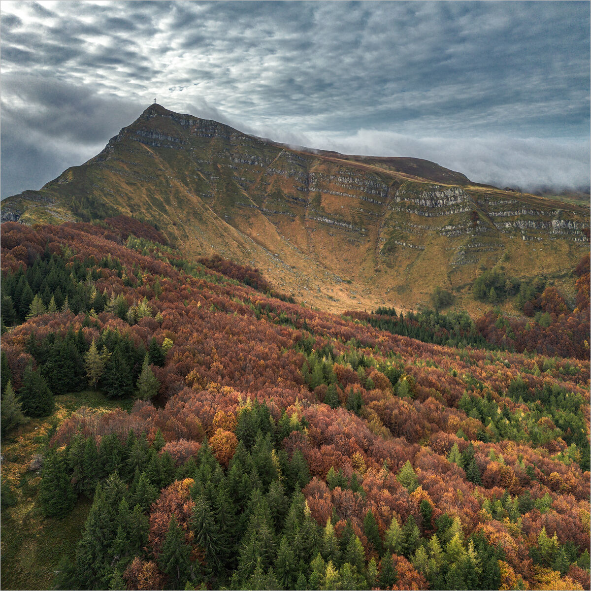 Silence of the Autumn