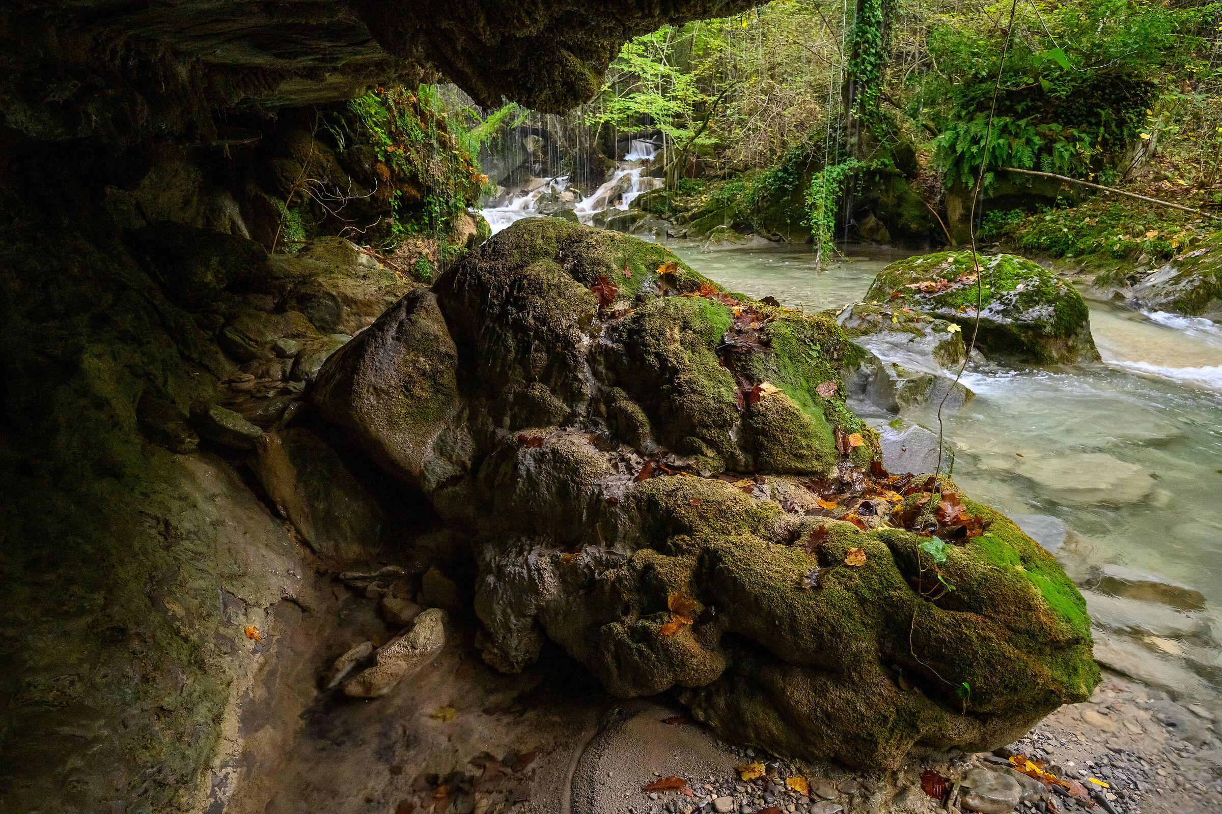 Afra Stream