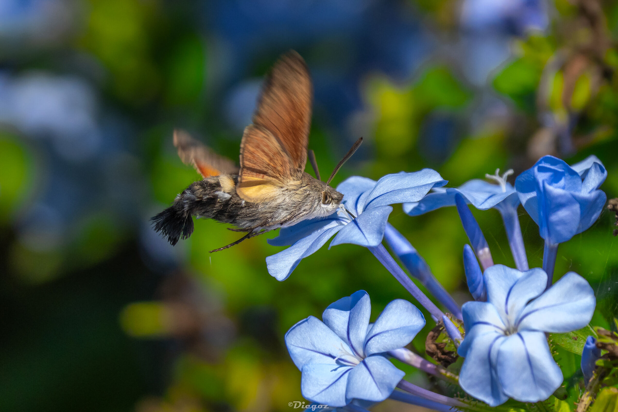 L'ESTATE CHE NON SE NE VA
