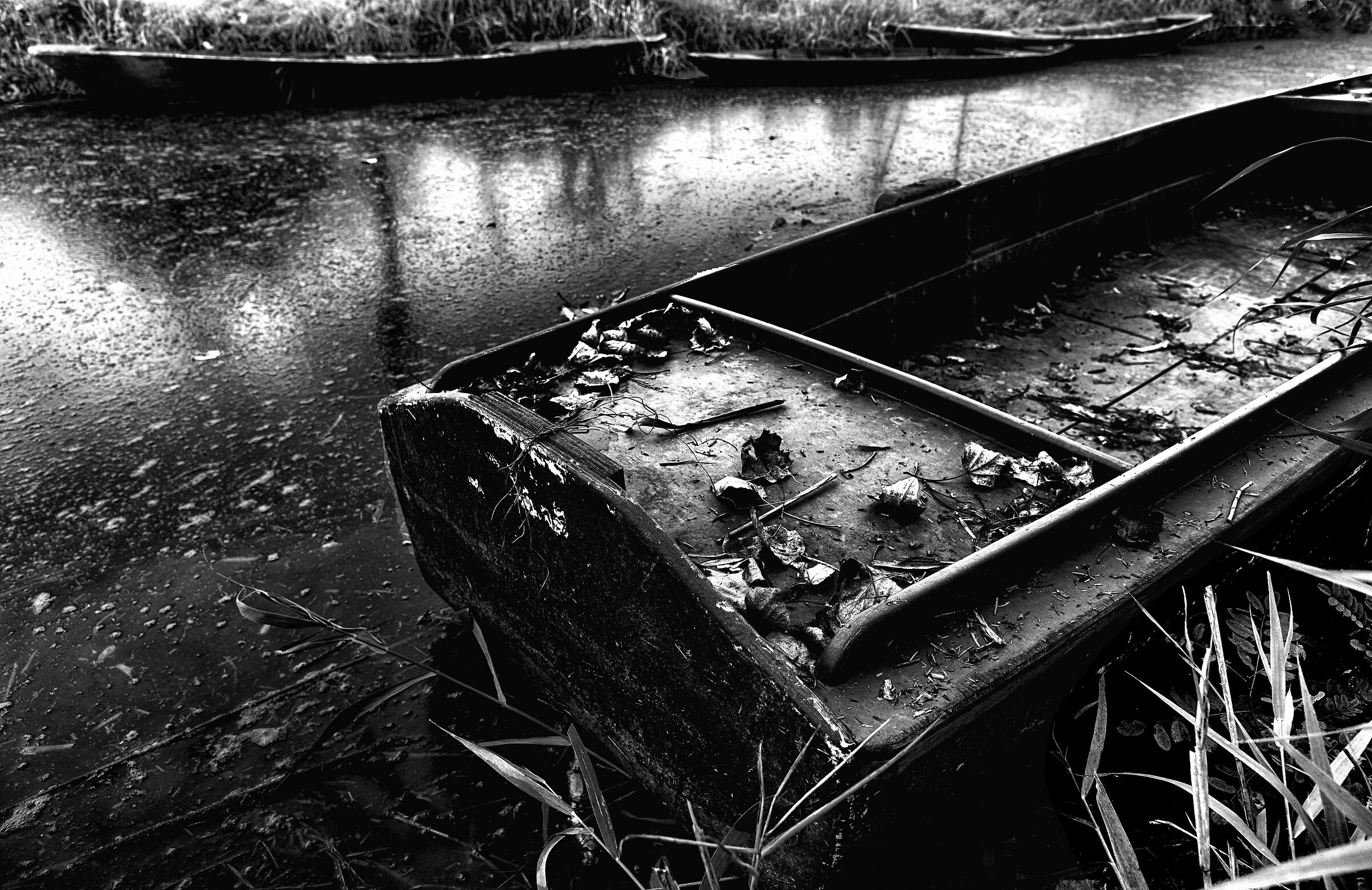 The simple memory of a fisherman