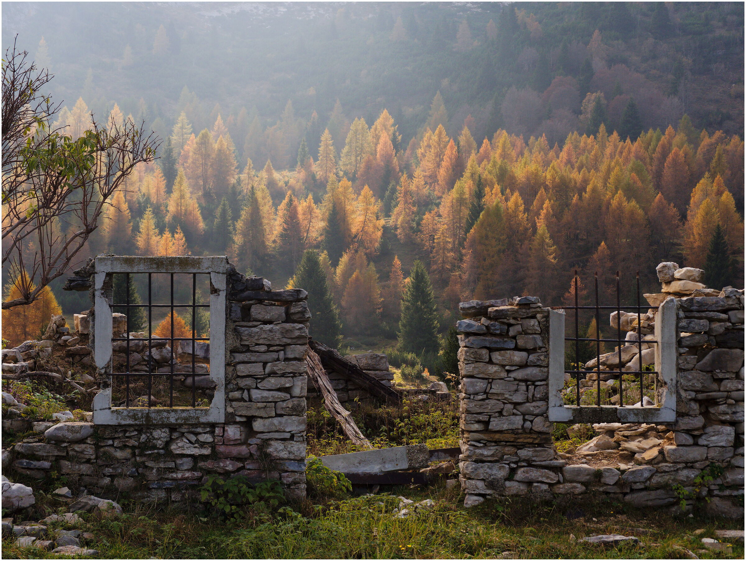 Rudere con sfondo autunnale