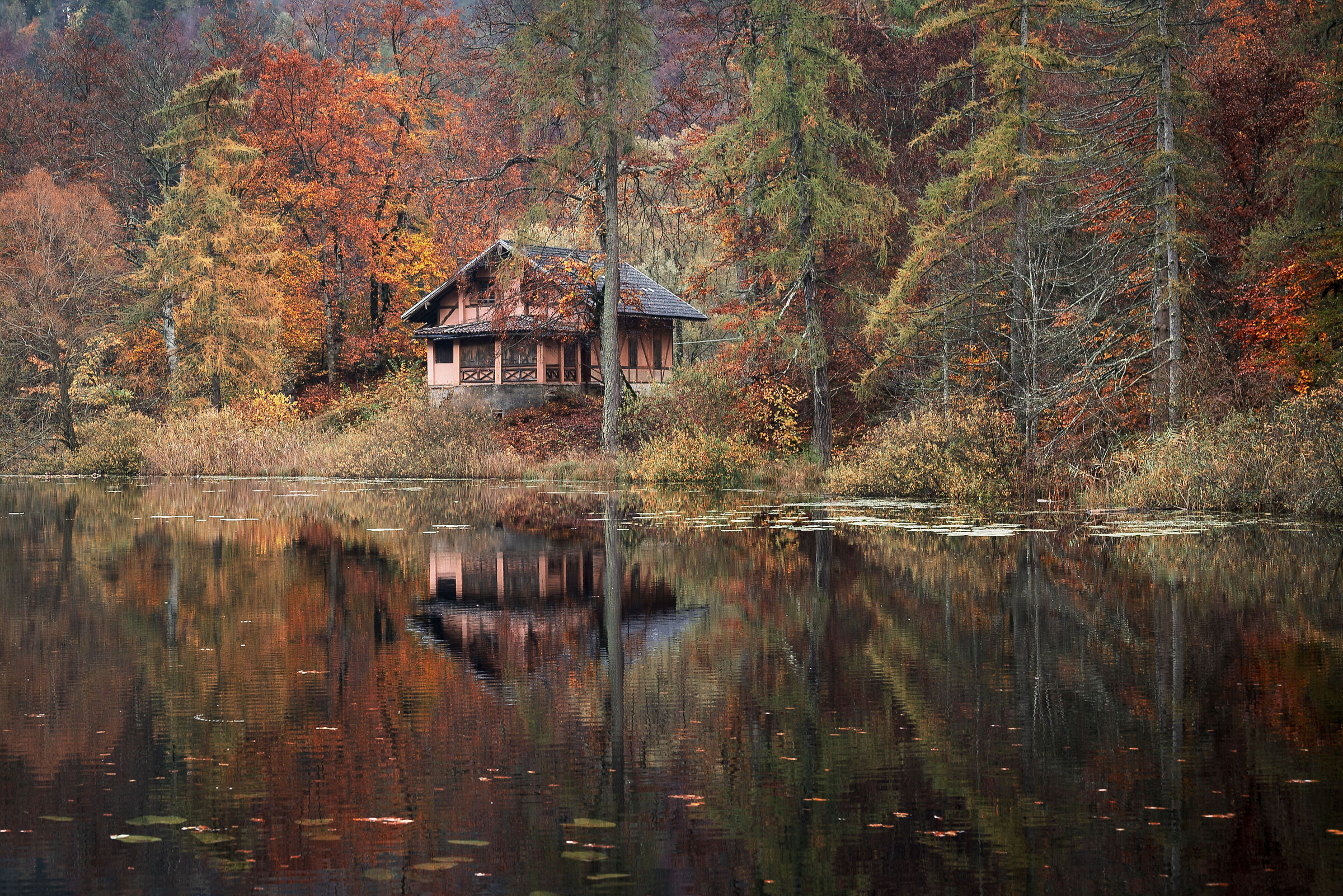 The lake house of dreams
