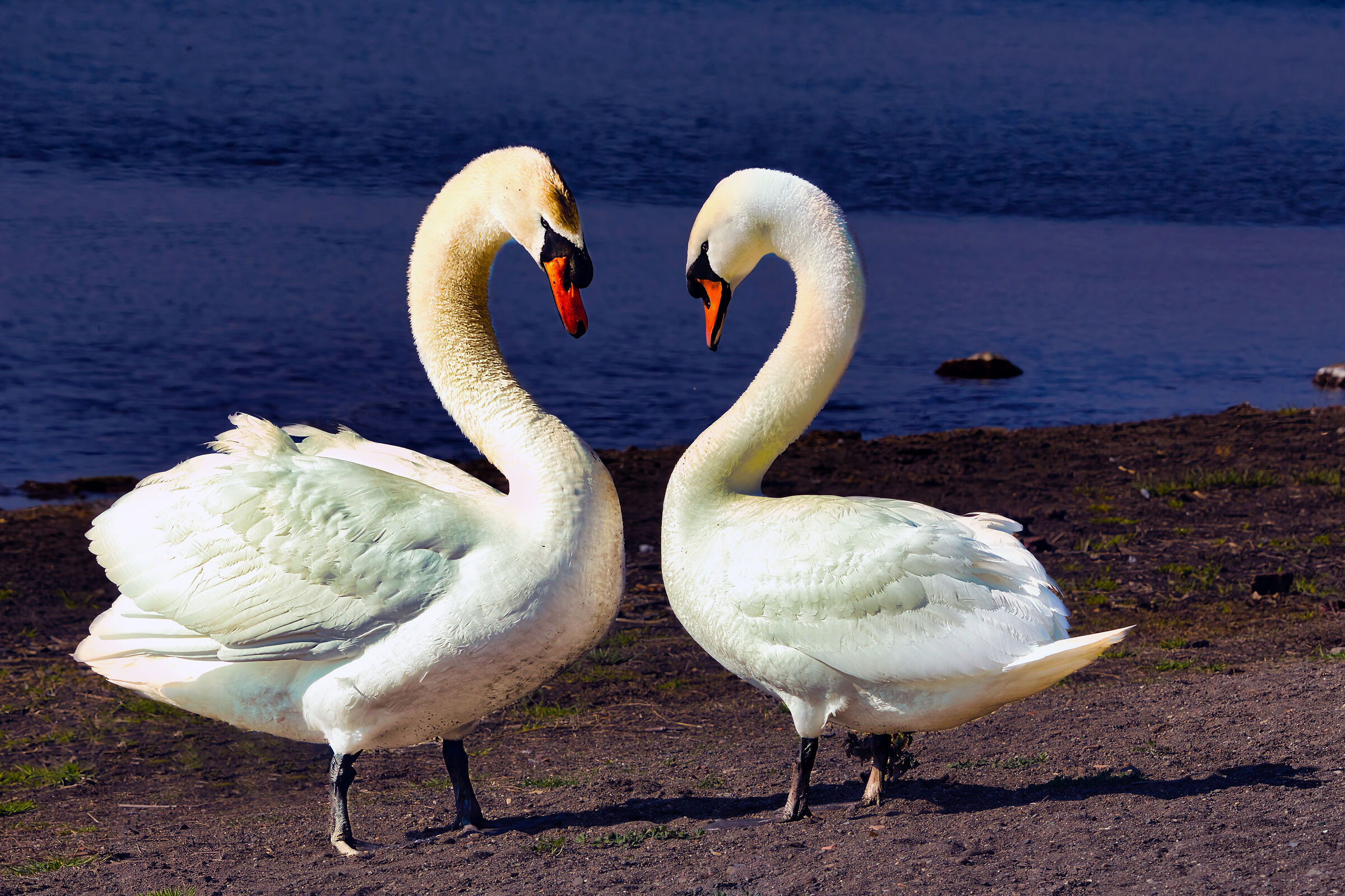 Meeting or challenge?