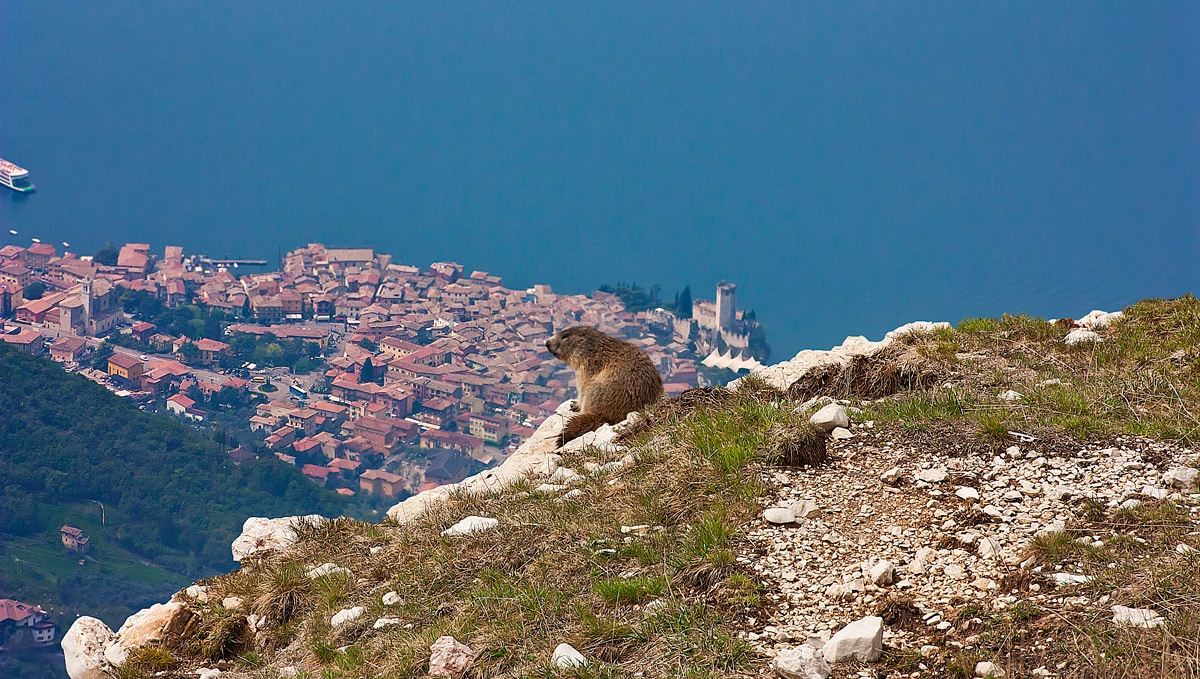 Che bel panorama..!!!!