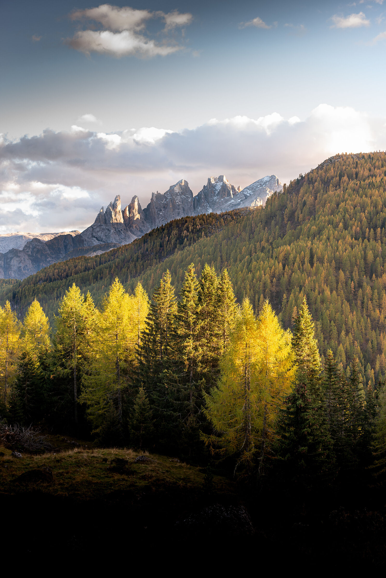 Pale di San Martino 3