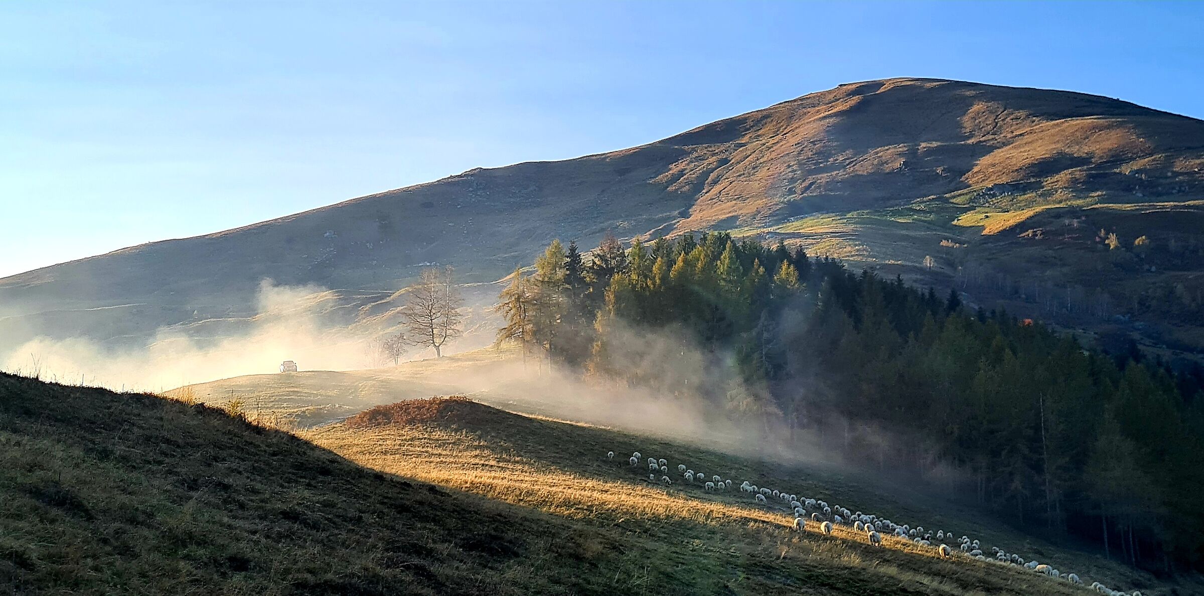 Grazing in an autumn muanda