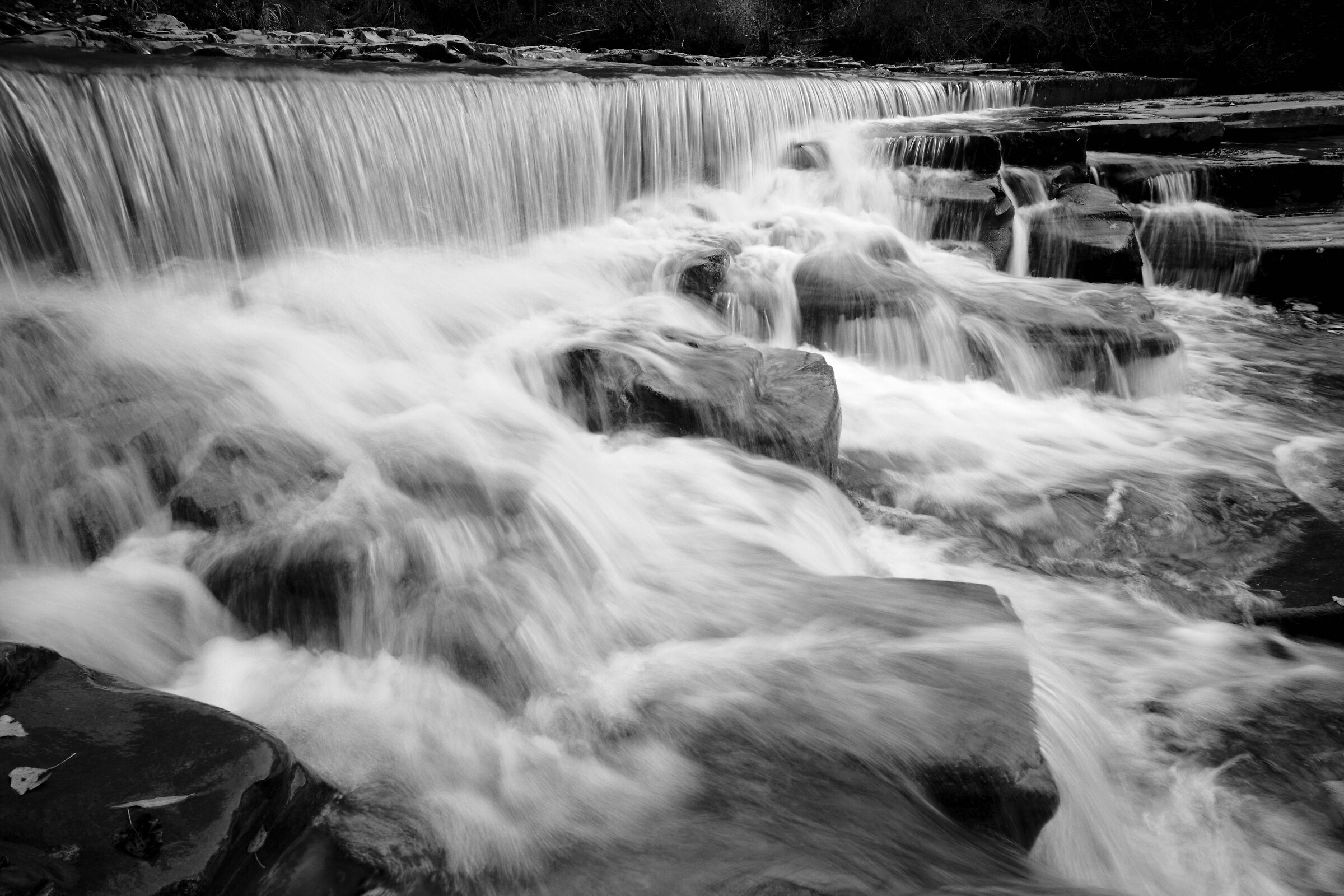 Rapids of the Rabbi Stream - Premilcuore (FO)