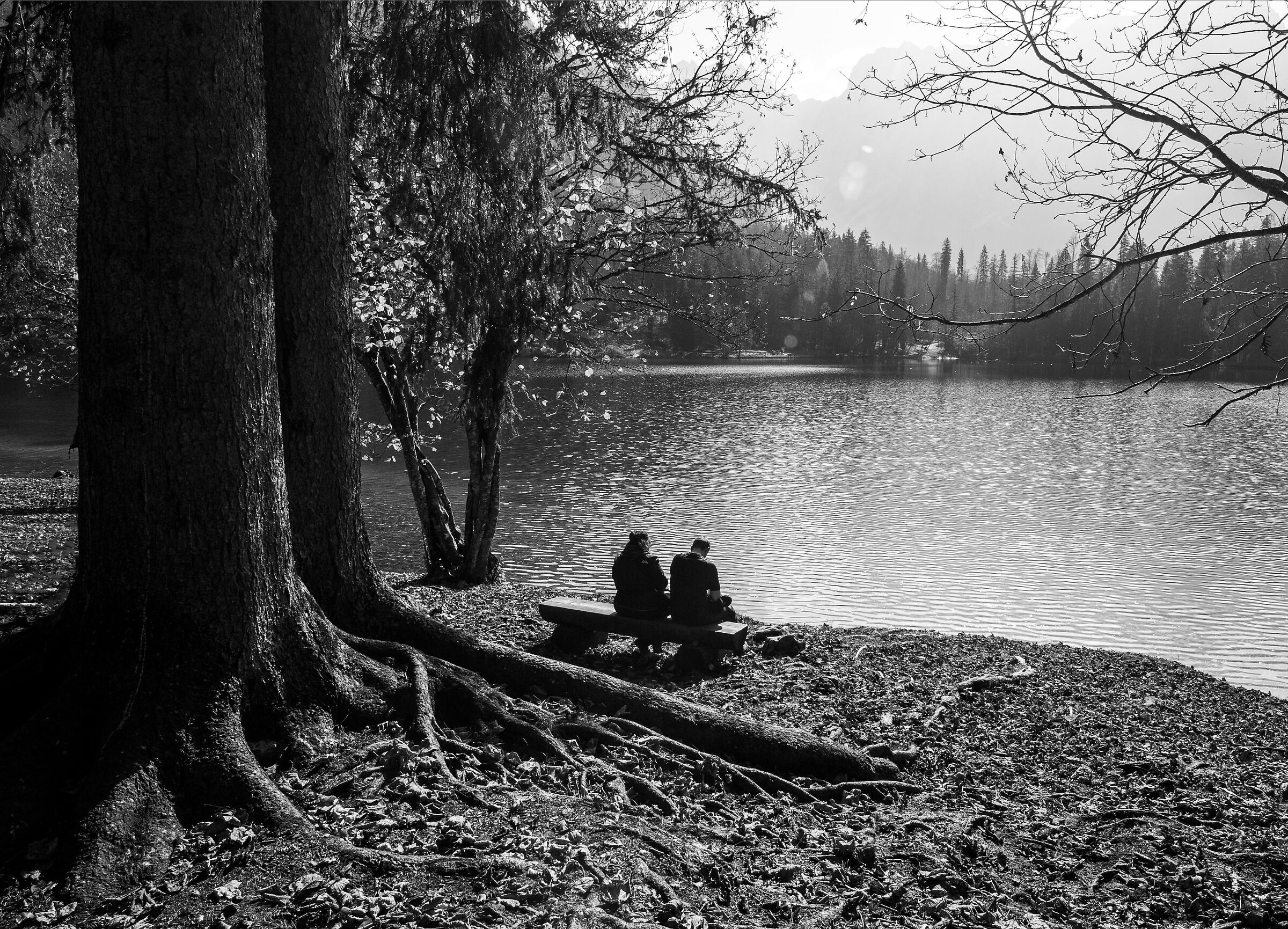 Alberi e uomini, cuori in autunno.