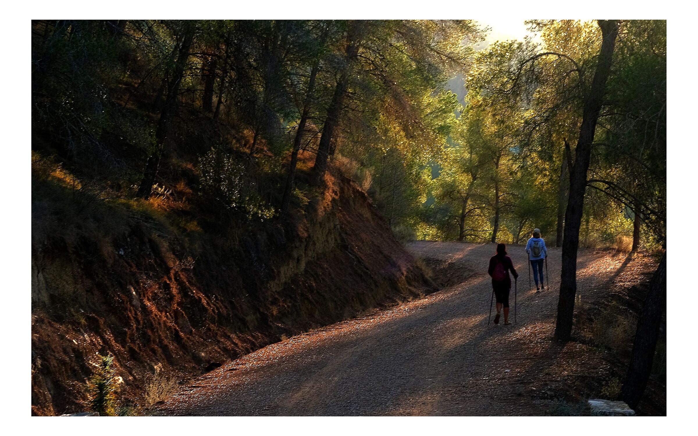 Late walk