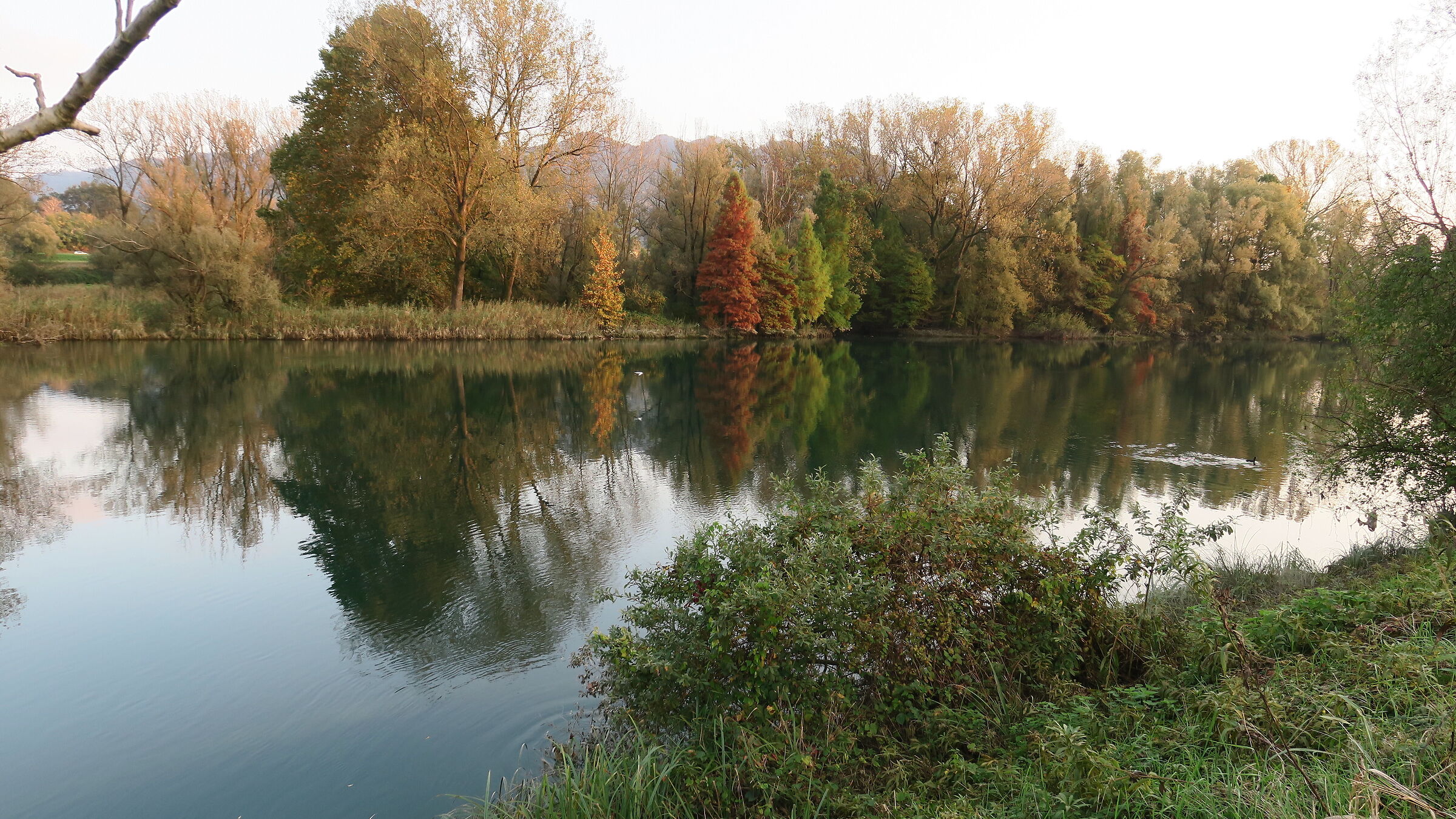 Adda near Brivio