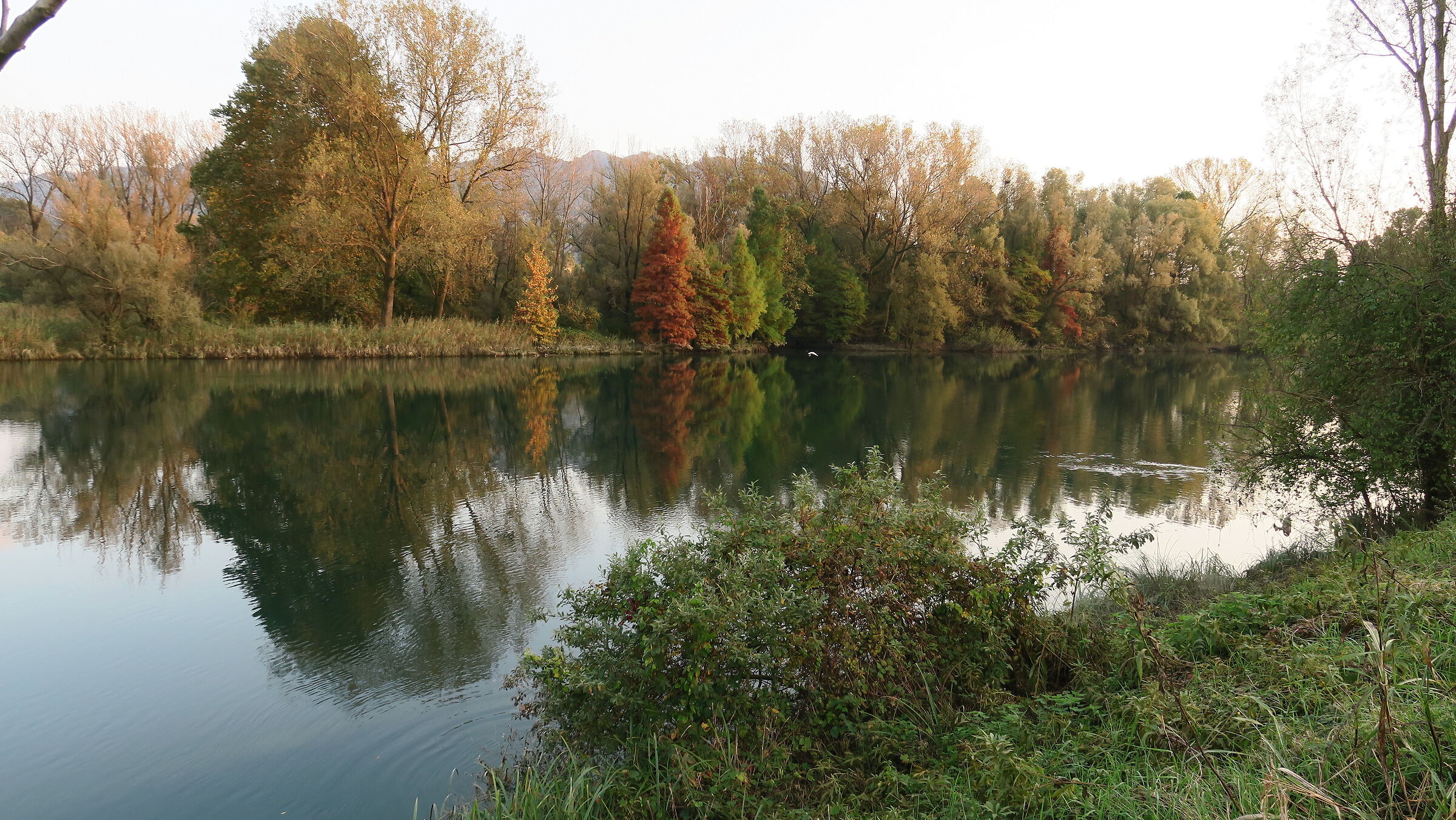 Adda near Brivio 2