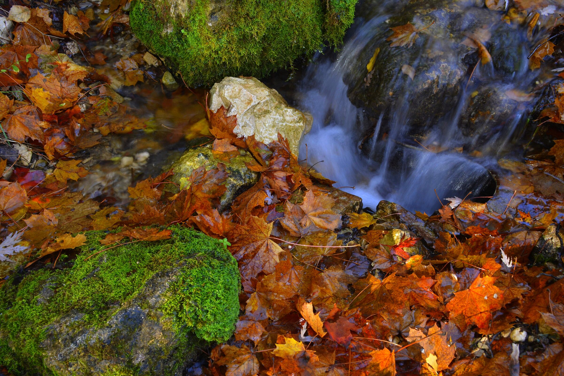 TRICKLE OF WATER