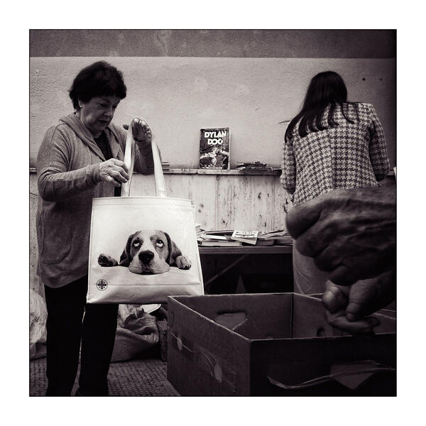Foto