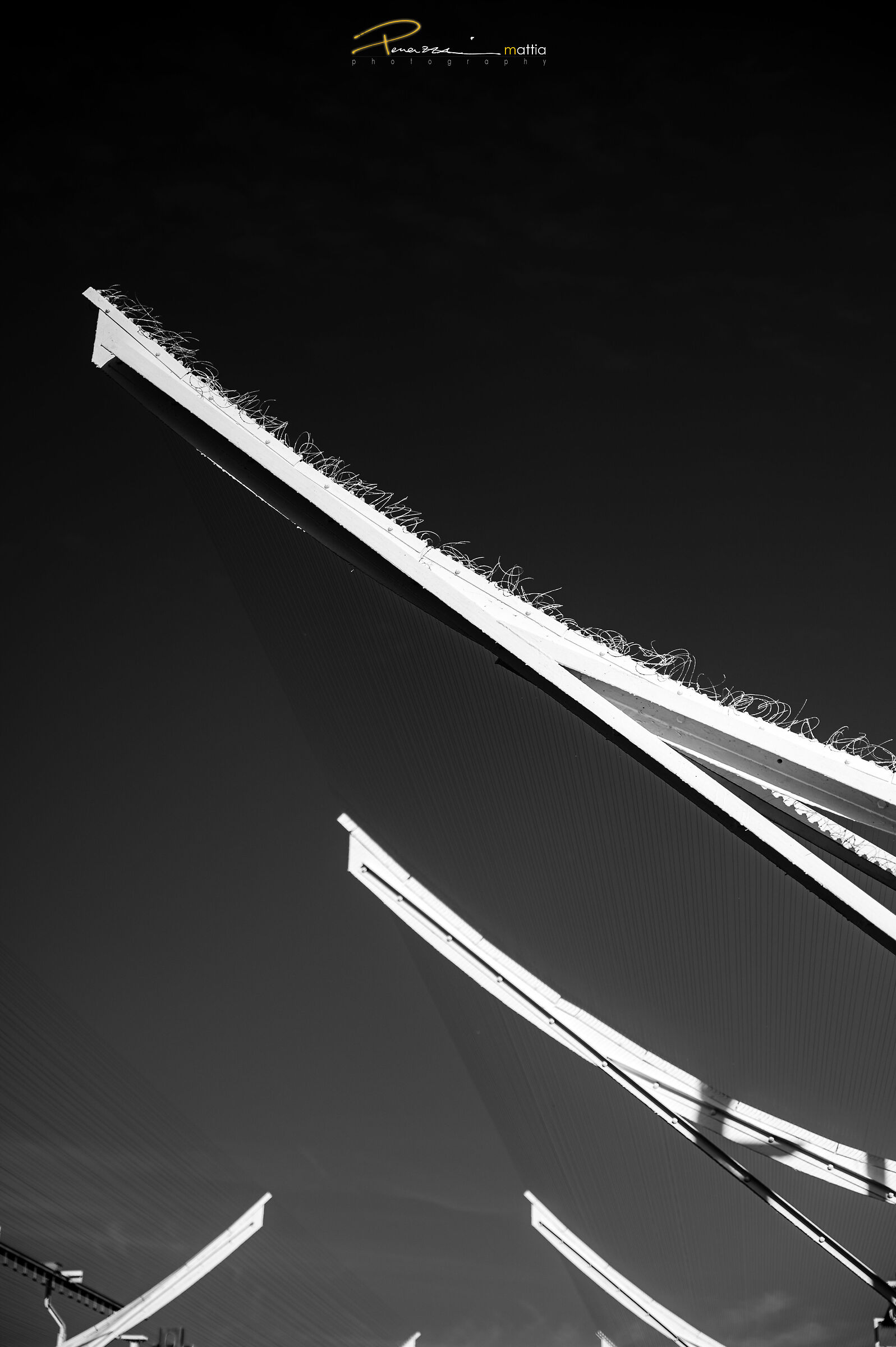 Workshop Radiotelescopio di Medicina 2024