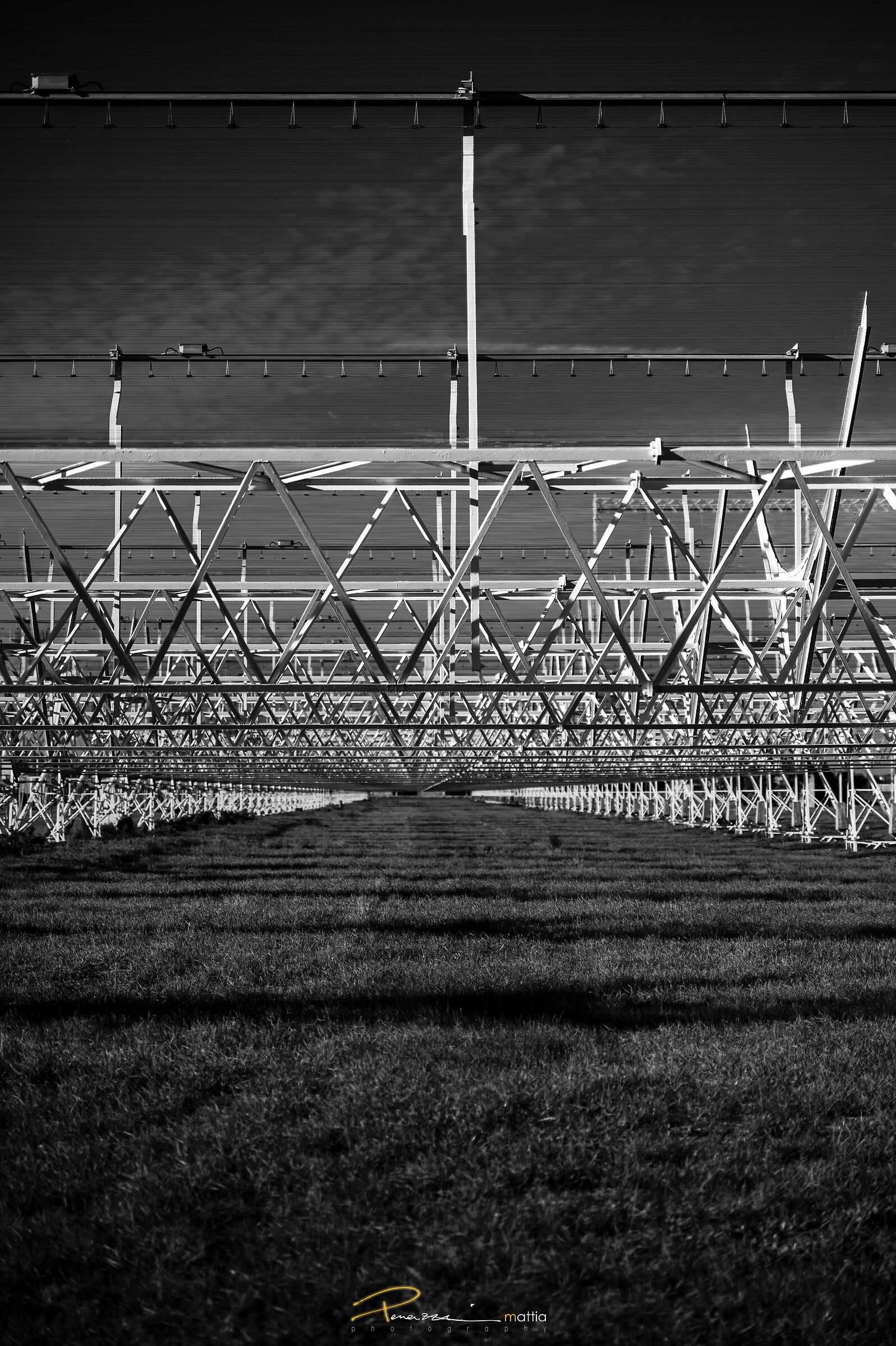 Workshop Radiotelescopio di Medicina 2024