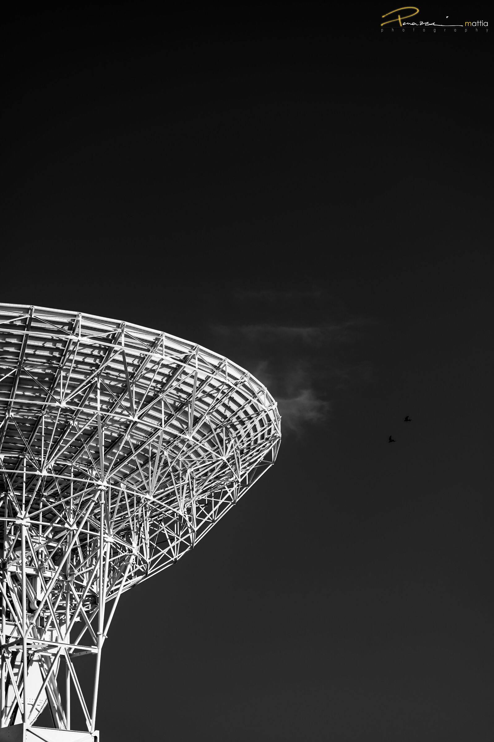 Workshop Radiotelescopio di Medicina 2024