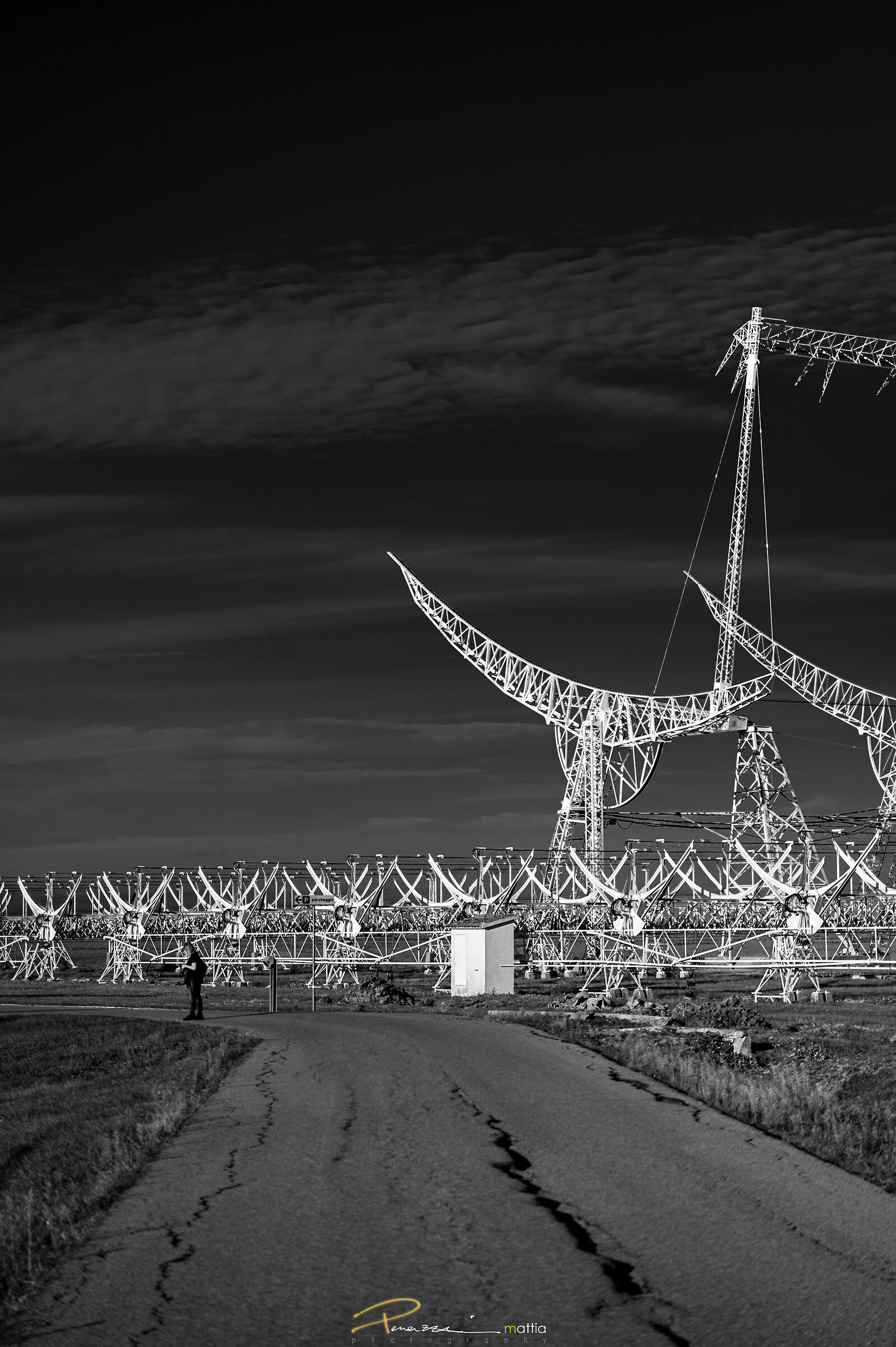 Workshop Radiotelescopio di Medicina 2024