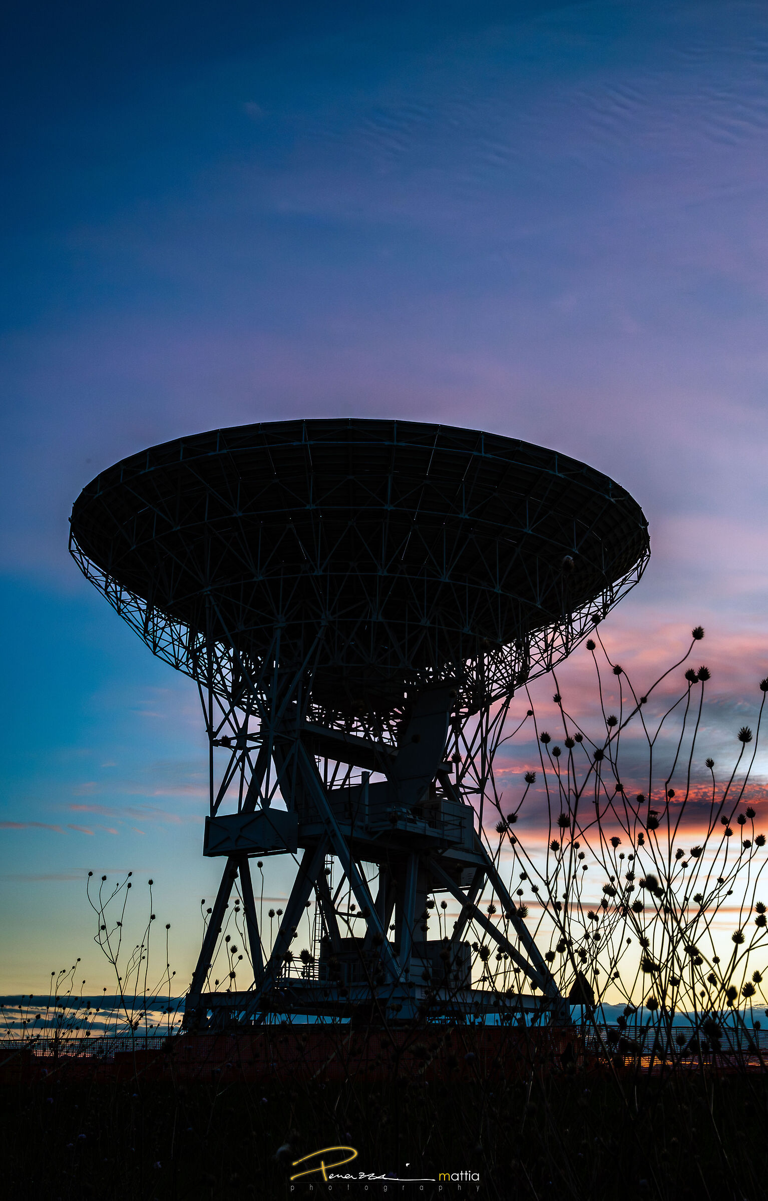 Workshop Radiotelescopio di Medicina 2024