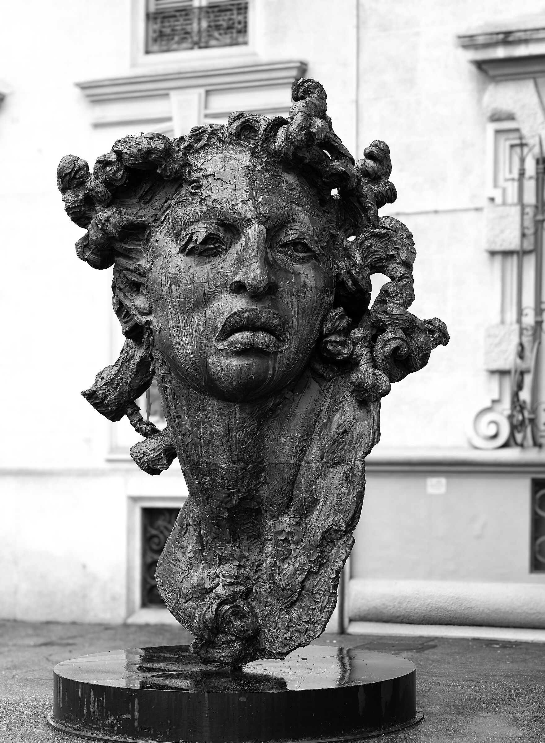 Medusa - Turin