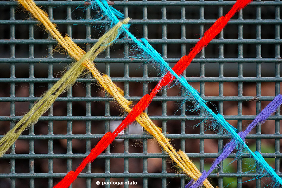 Crossed wool threads