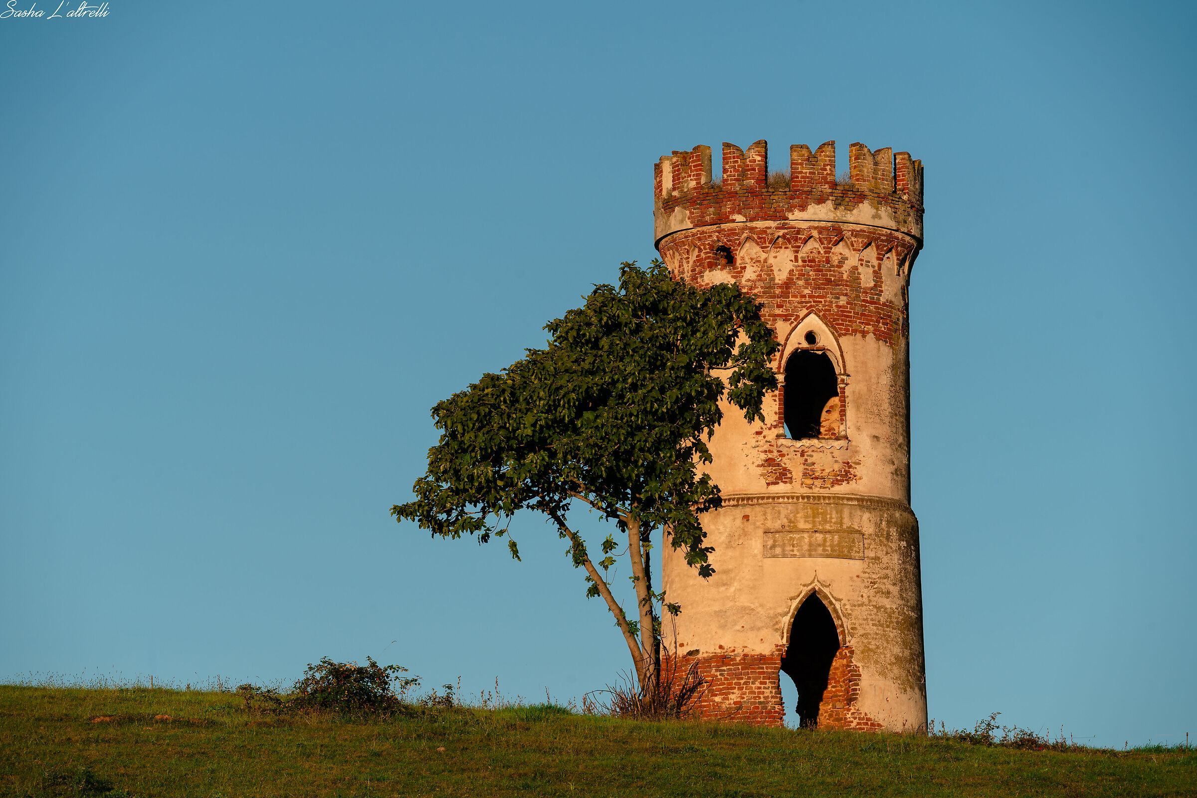 Ruderi della torre