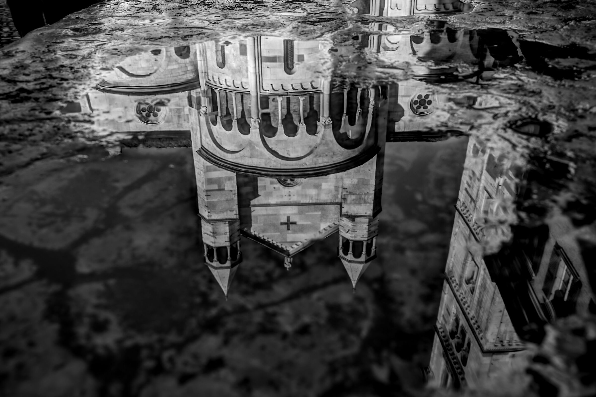 Reflections in white