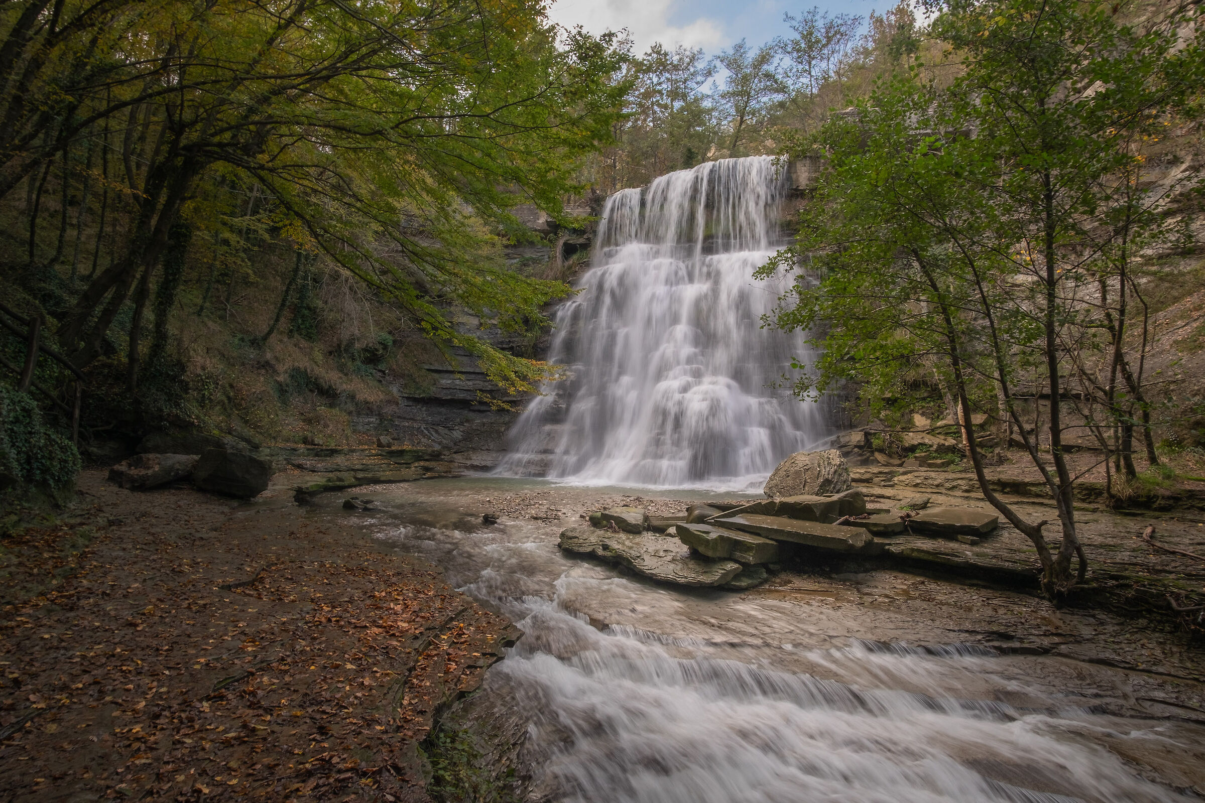 The impetus of the elements