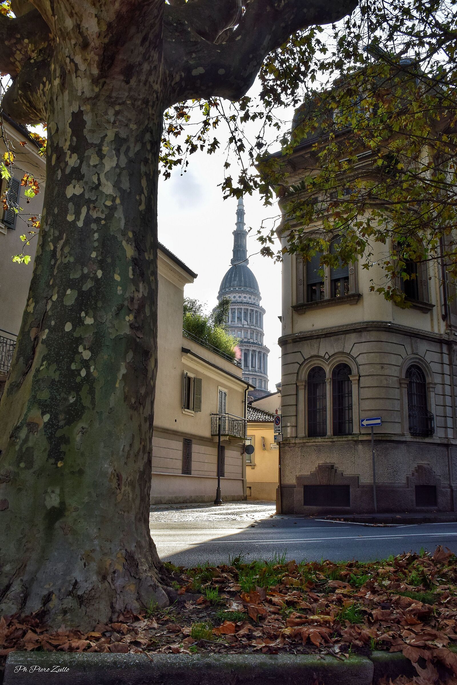 The dome seen from every angle