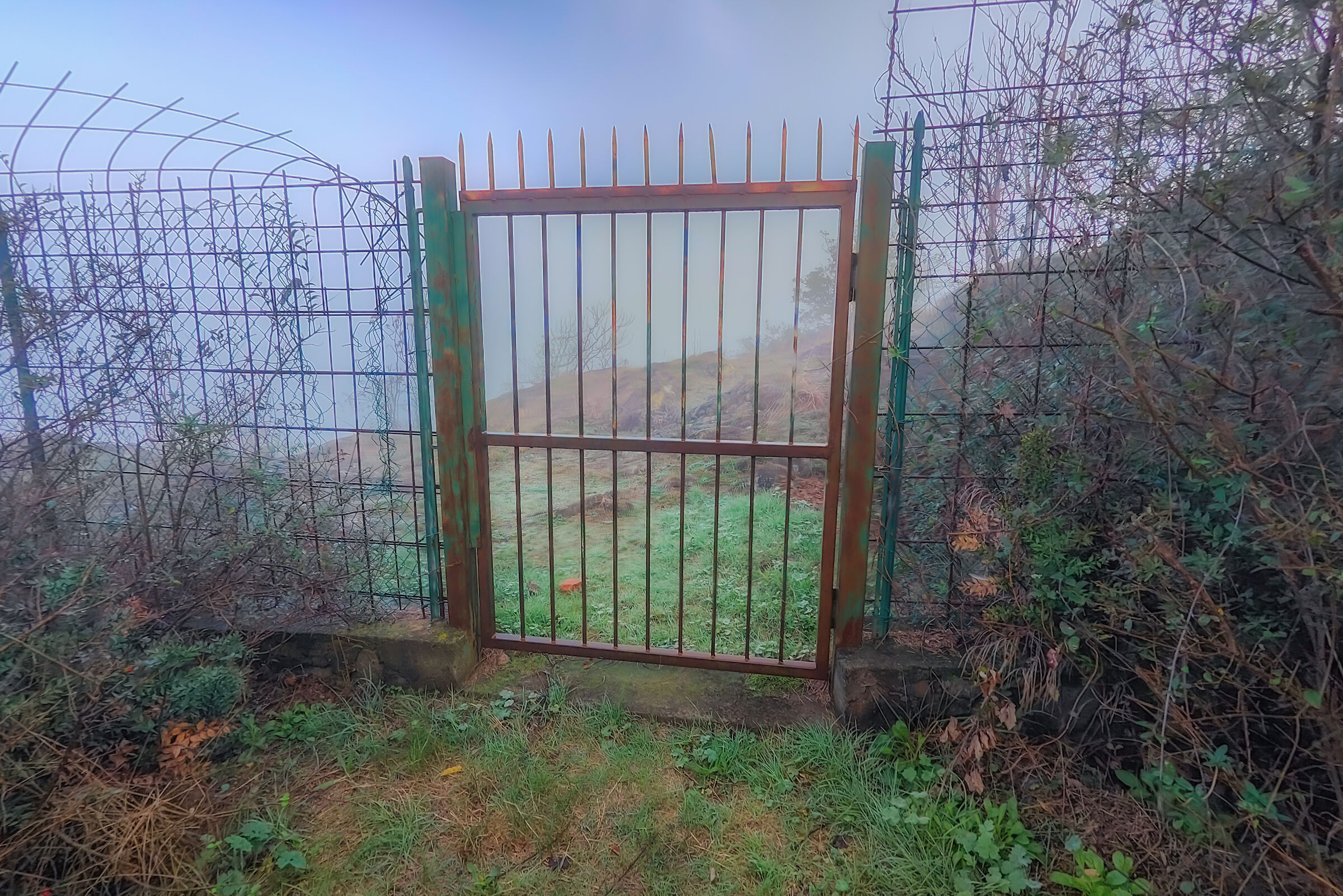 The gate