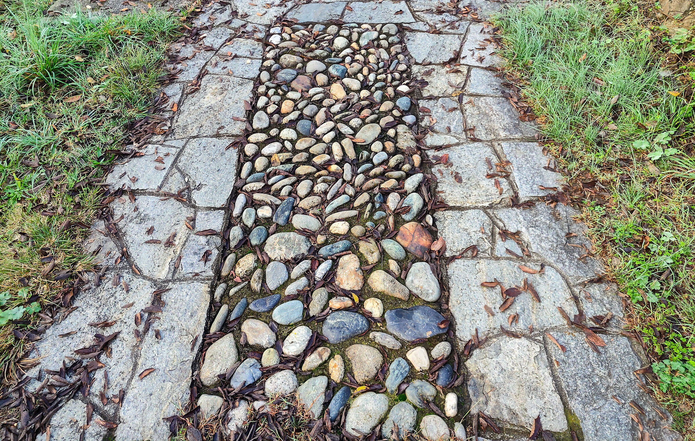 Rocks