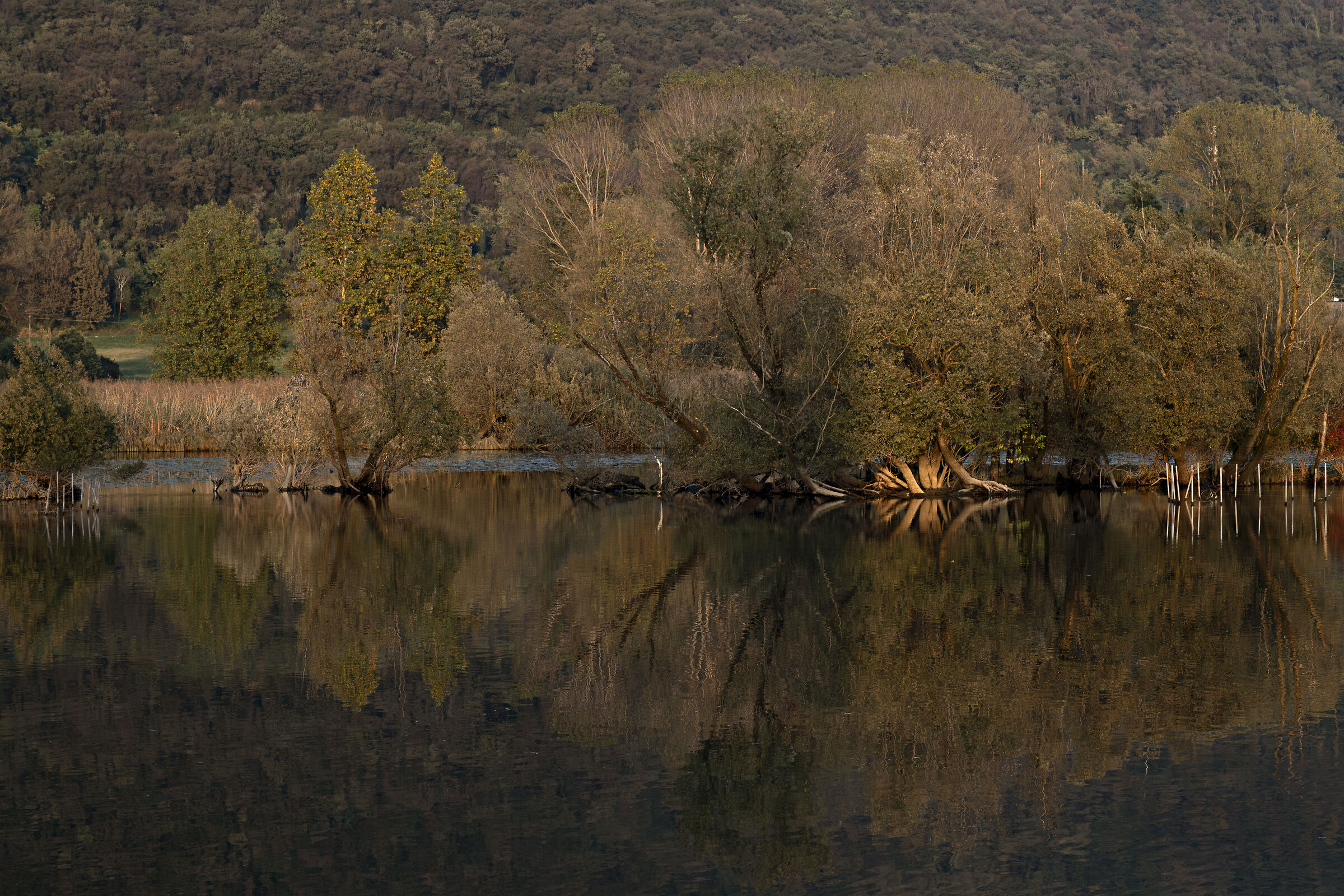 Colori sull'Adda