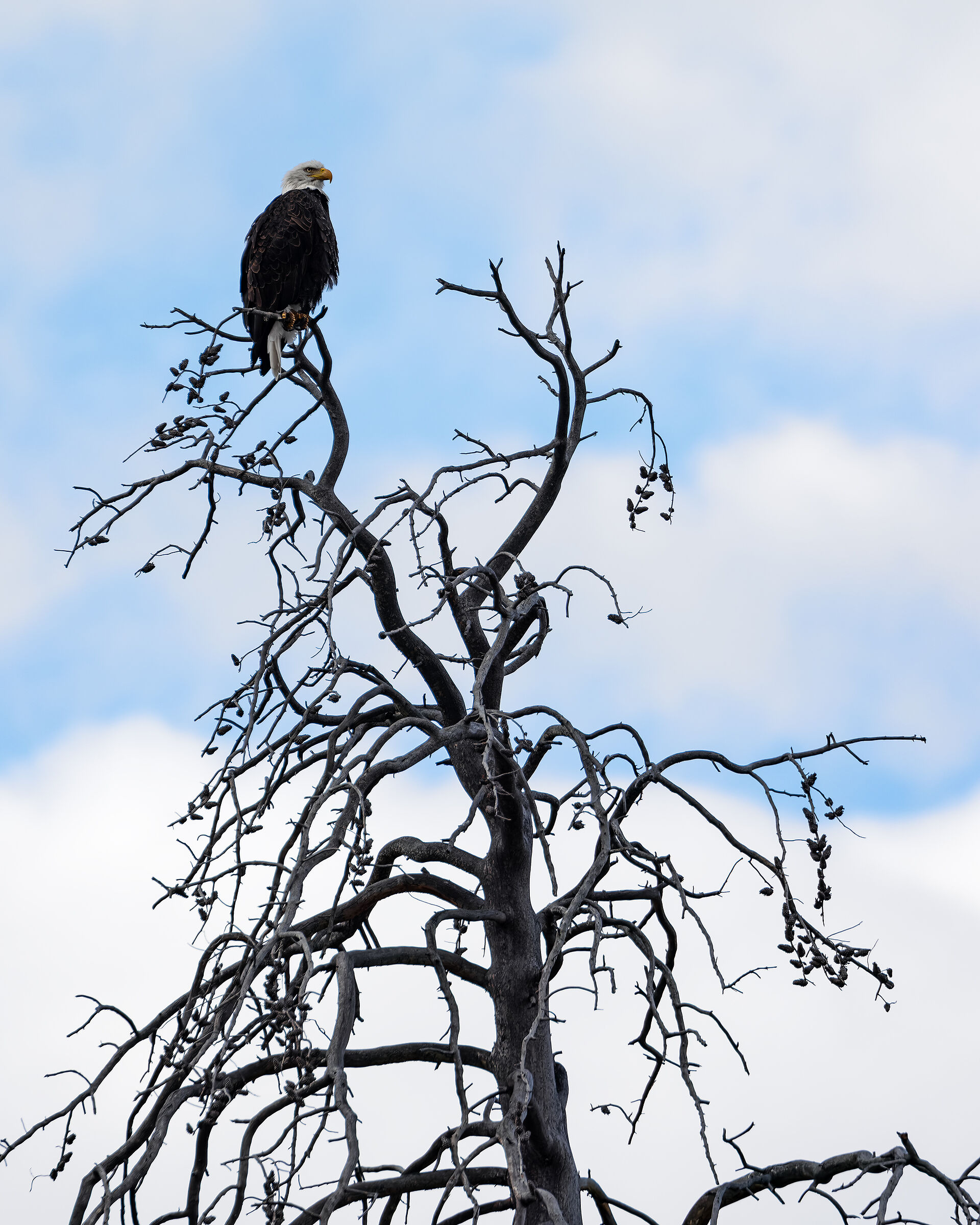 Da qui si domina la valle
